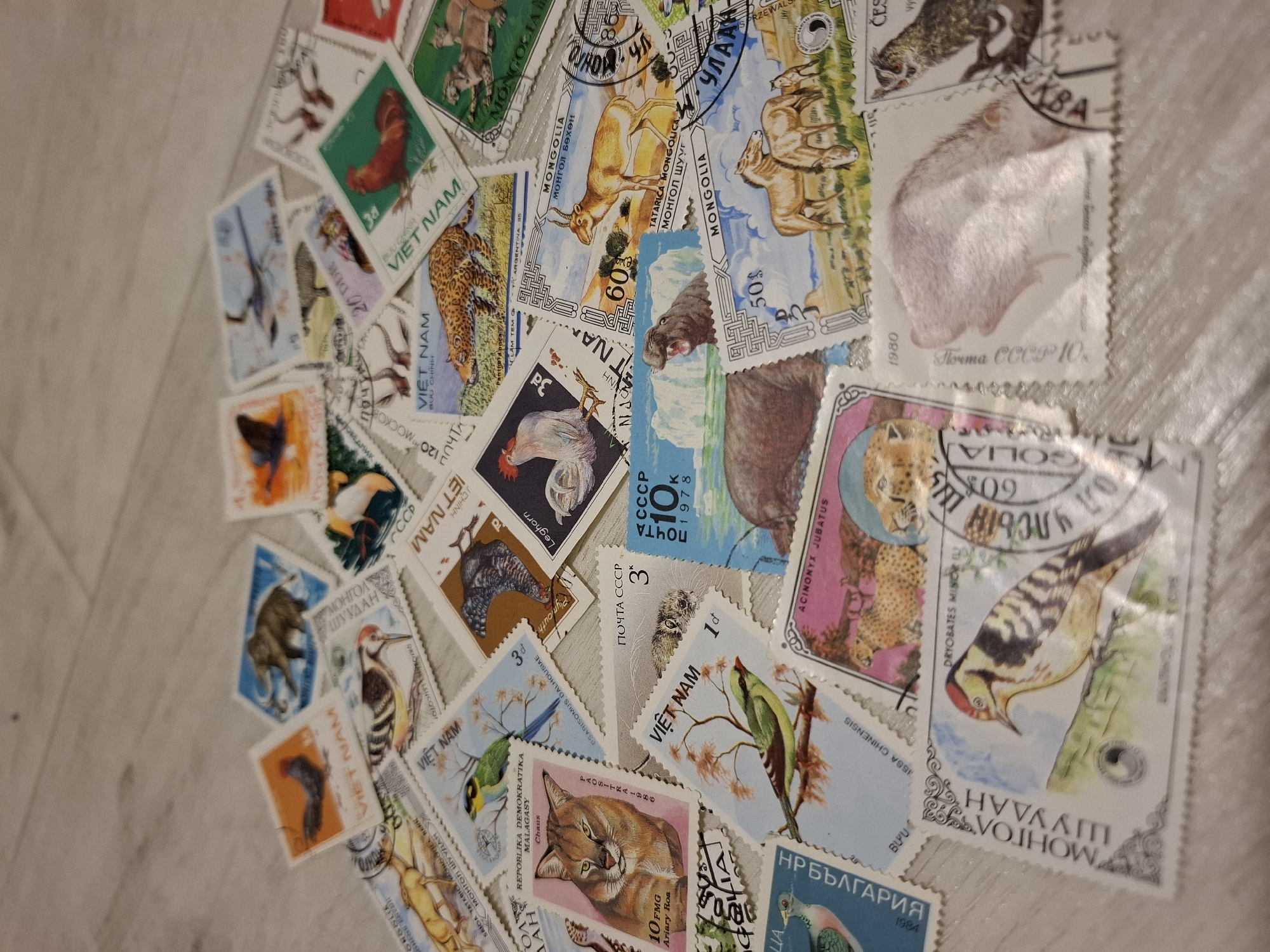 A collection of postage stamps is spread across a light-colored, textured surface, possibly a wooden floor. The stamps, featuring various animals such as birds, mammals, and possibly a rooster, are arranged in a haphazard manner, with some overlapping. The stamps appear to be from different countries, indicated by text such as "VIET NAM," "MONGOLIA," and "POSTA CCCP." The lighting suggests an indoor environment, with the light source casting subtle shadows. No people are visible in the image, and no specific location within the city of Tyumen, Russia, can be identified.