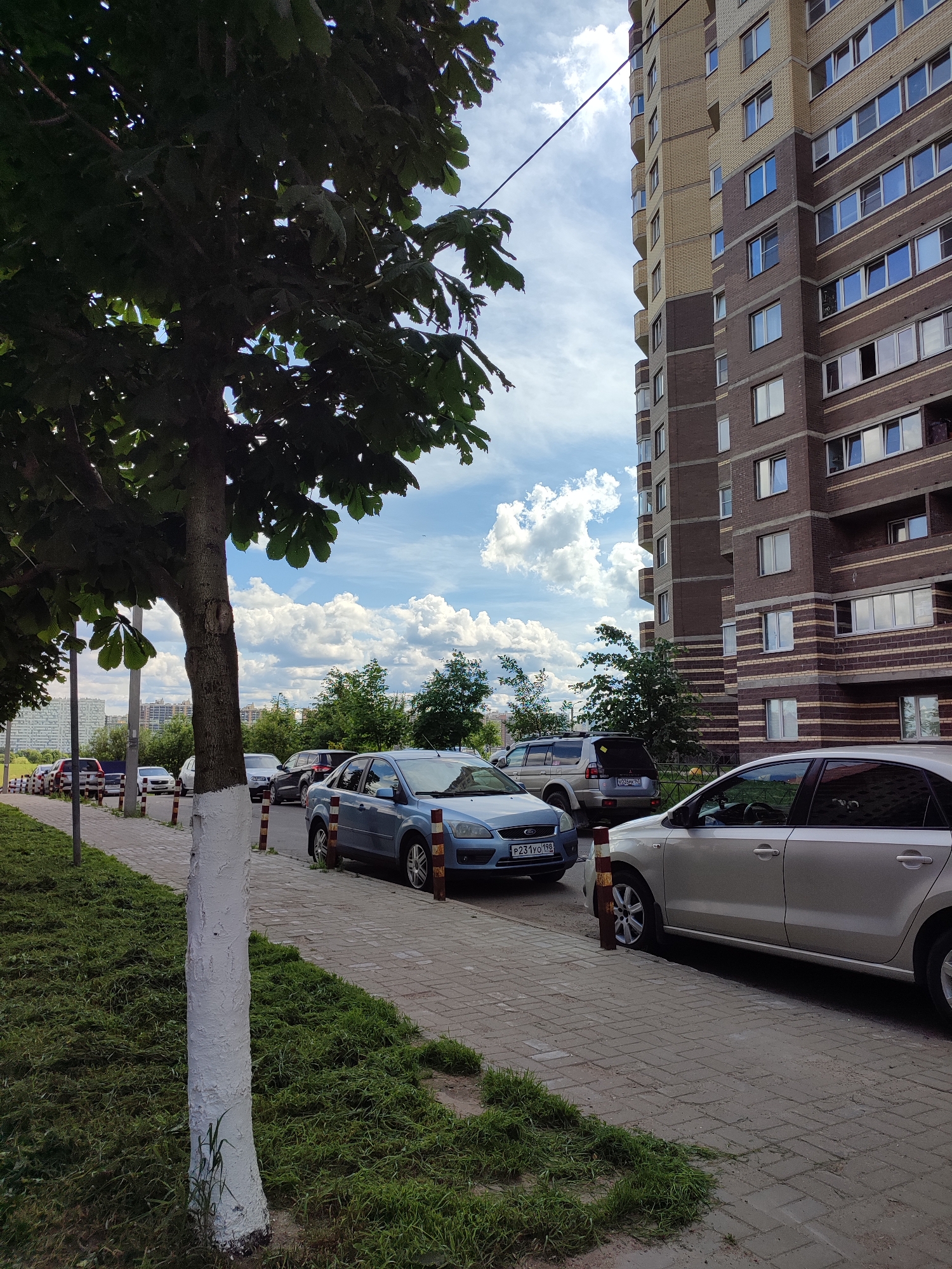 The image depicts a street scene in Bugry, Russia, with a focus on a residential building and parked cars. A multi-story apartment building, constructed with brown and beige bricks, dominates the right side of the frame. The building features numerous windows, some open and some closed, and balconies. In the foreground, a tree with white-painted bark stands on the left side of a paved sidewalk. Several cars are parked along the sidewalk, including a blue sedan, a silver sedan, and a silver SUV. The street is lined with green grass and a few trees. The sky is partly cloudy with white, fluffy cumulus clouds. The overall impression is a typical urban residential area on a bright, possibly summer day.