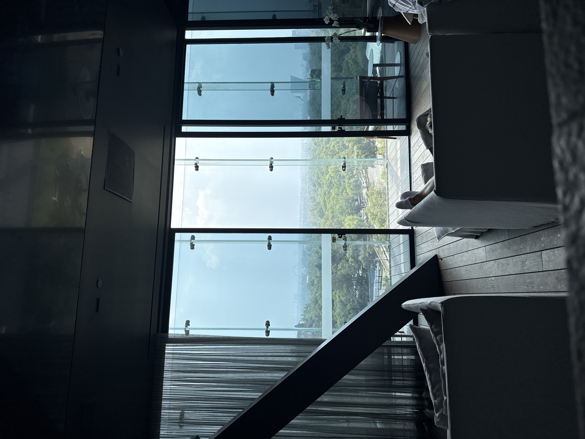 Indoor view from a high-rise building in Mexico City. A wall-to-ceiling window offers a panoramic view of the city’s green landscape. Visible are the tops of trees in Chapultepec Park and parts of the city skyline. Inside, a modern aesthetic prevails with wood floors and light-colored couches. One person is lounging on a couch. A black diagonal structural beam is positioned near the window. The room features blinds.