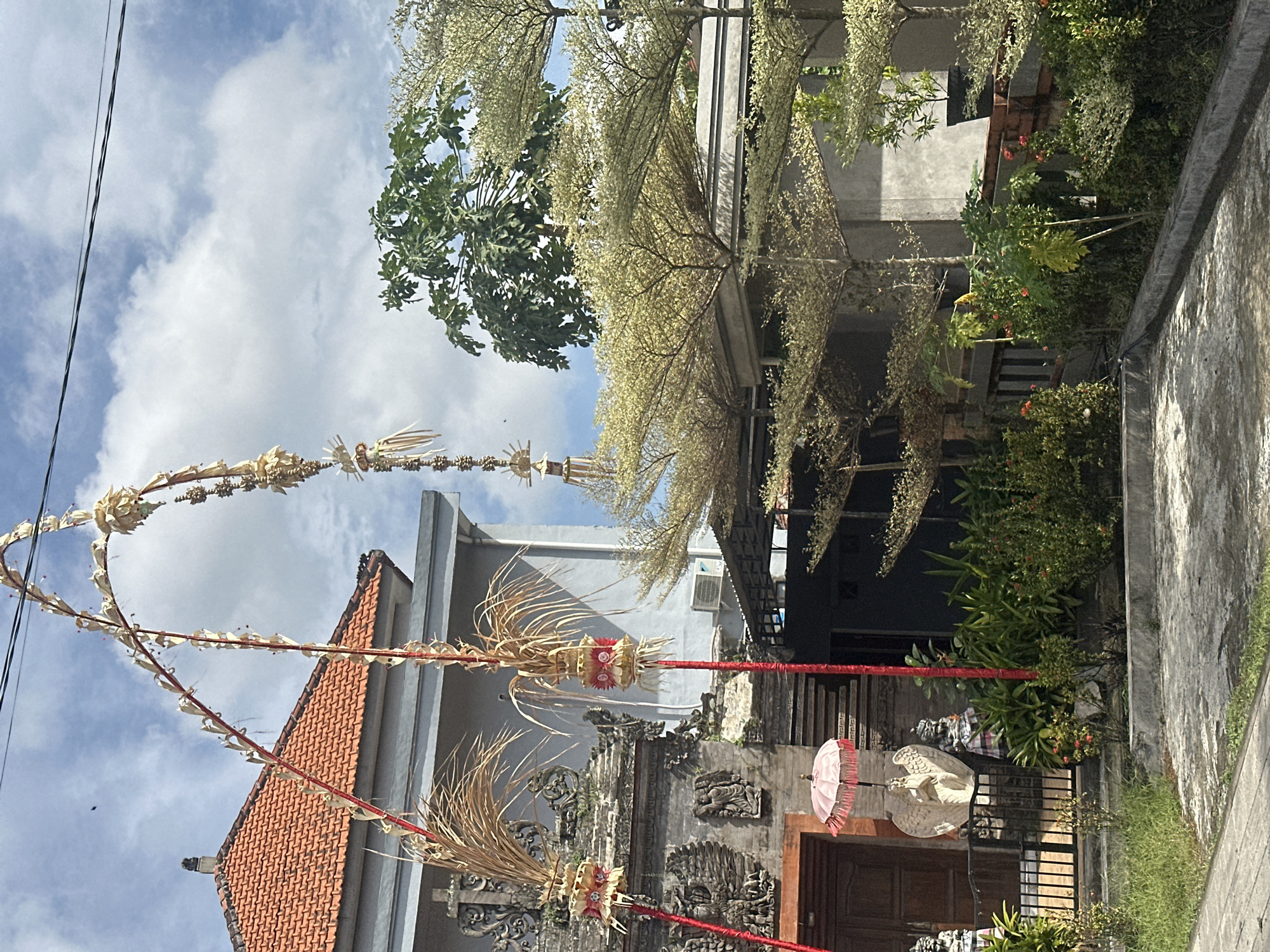 The image shows a Balinese temple or traditional house in North Kuta, Indonesia, under a partly cloudy sky. The foreground is a concrete pathway with some grass on the left. In the middle ground, there is a building with an orange tiled roof and grey walls. In front of this building, a large, arched decorative structure made of dried leaves and straw hangs in the air, supported by red poles. This structure is adorned with decorative elements made of woven leaves and red fabric.
To the left of the building, there is an entrance with dark wooden doors. Next to the entrance, there is a black metal fence. Inside the fence, there are statues and a pink umbrella. One prominent statue appears to be a winged angel, and another is a figure in traditional Balinese clothing. There are also stone carvings on the facade of the building.
To the right of the main building, a modern building with grey walls and a flat roof is visible, partially obscured by several trees. These trees have a distinctive umbrella-like shape with light-colored foliage. A papaya tree with green leaves is also visible behind these trees. Lush green plants and bushes are planted in front of the modern building and along the pathway. An outdoor air conditioning unit is mounted on the wall of the modern building.
The overall scene depicts a blend of traditional Balinese architecture and religious decorations with modern elements and lush tropical vegetation. The lighting suggests it is daytime, likely morning or afternoon.