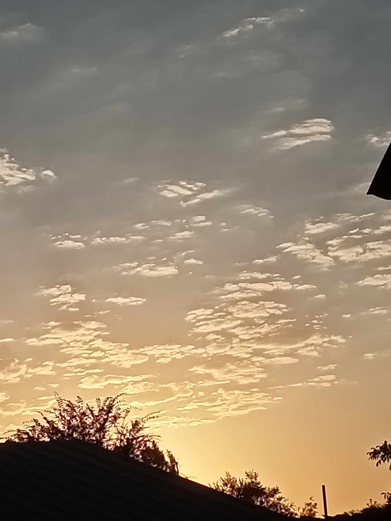 A low-angle, medium shot captures a sky filled with scattered clouds at what appears to be sunrise or sunset, casting a warm, orange glow on the lower portion of the frame. The clouds are white and wispy, with some areas of gray in the upper portion of the sky, suggesting the presence of darker cloud cover. In the foreground, the silhouette of a dark, corrugated roof is visible, with the tops of dark-leaved trees emerging from behind it. To the far right, a portion of another dark roofline is visible, as well as a thin, dark vertical pole. The scene is devoid of any human presence or activity. The environment is likely urban or suburban, given the presence of roofs, but no specific landmarks are identifiable. The time of day is indicated by the soft, diffused lighting and the color palette of the sky. The overall impression is one of quiet natural beauty, with the man-made structures providing a stark contrast to the celestial display.