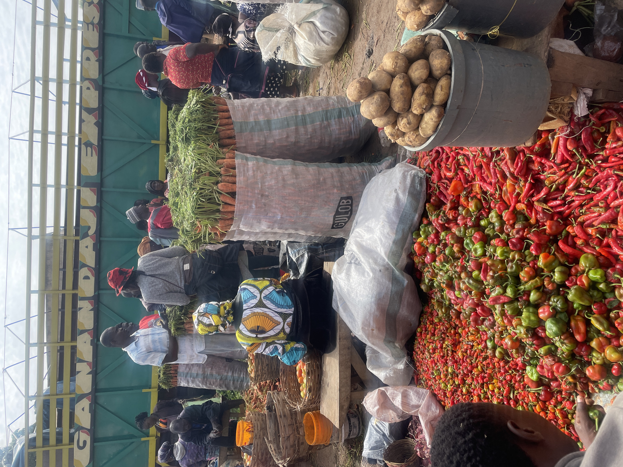 This is a medium shot of an outdoor market scene in Gura Top, Nigeria, with a truck in the background. The truck, painted green with yellow trim, has the words "GANANDAJU EXPRESS" written on its side in large, colorful lettering. In the foreground, a large pile of red and green peppers is visible, with a person in the lower left of the frame looking at them. To the right of the peppers, a gray plastic bucket filled with potatoes sits on a wooden stool. Behind the peppers and potatoes, two large sacks filled with carrots are stacked. Several people are visible in the scene, some standing, some sitting, and some appearing to be engaged in transactions. The ground is dirt, and the overall atmosphere suggests a busy marketplace. The lighting is bright, indicating it is daytime.