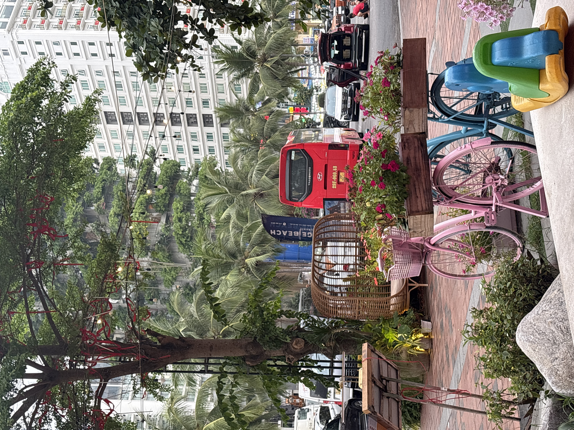 The image captures a street scene in Đà Nẵng, Vietnam. It presents a mix of urban elements and vegetation. In the background, a tall, multi-story building is visible behind lush palm trees. A red city bus with license plate "29T-060.63" is stopped on the road, alongside other vehicles, including cars.
Along the sidewalk, there is an arrangement of bicycles painted in different colors, including pink, blue, and a combined blue, green and yellow (toy). These bicycles appear to be used as part of a decorative display, possibly for a business. Next to the bicycles, there is a wooden structure with flowers planted in it. There is a bird cage looking decorational element and a sign mentioning "BEACH" partially visible.
The foreground is dominated by a tree with red decorations hanging from its branches. The overall setting suggests a vibrant urban environment with a tropical feel.