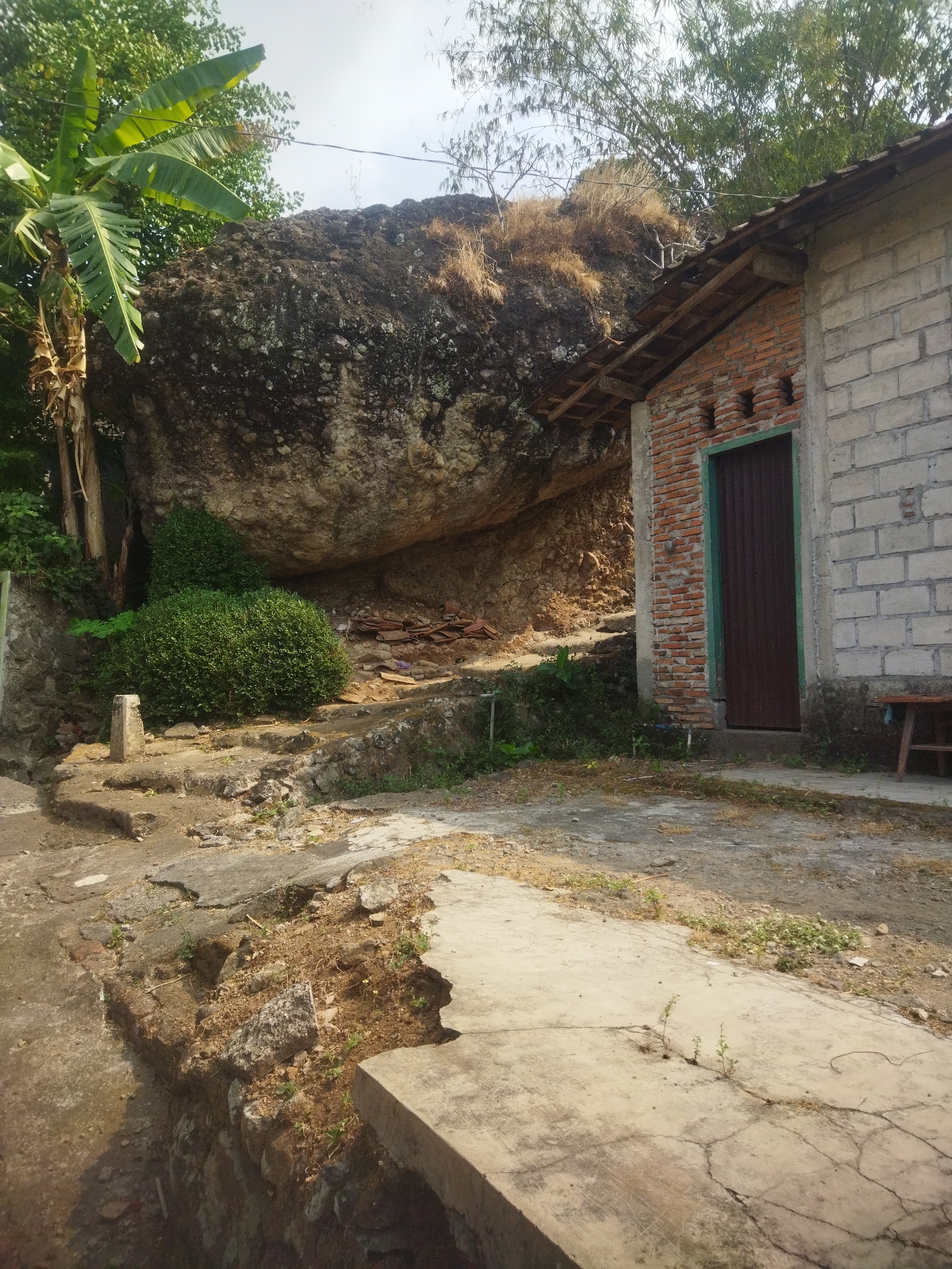 The image shows a rustic scene in Giripurwo, Indonesia, dominated by a large, weathered boulder at the center-left. The boulder appears to be a natural formation and is covered in patches of dark, rough texture and lighter-colored mineral deposits. To the left of the boulder, a banana tree with large, green leaves stands prominently, with its trunk partially visible. Below and in front of the boulder, a neatly trimmed, spherical green bush is situated on a small, stepped stone platform.
To the right of the boulder is a simple, two-part building. The section closer to the boulder is constructed from red bricks, with a dark brown wooden door framed by a green border. The adjacent section of the building is made of grey cinder blocks, with a visible section of a wooden bench or stool on the far right. The roof of the building is tiled.
The ground in front of the building and around the boulder is a mix of cracked concrete pathways, packed dirt, and scattered rocks. Vegetation, including dry grasses and small green plants, is present throughout the scene. The overall environment appears to be outdoors, likely in a semi-rural or residential area, under a bright, overcast sky. The scene is static, with no people or active events depicted.