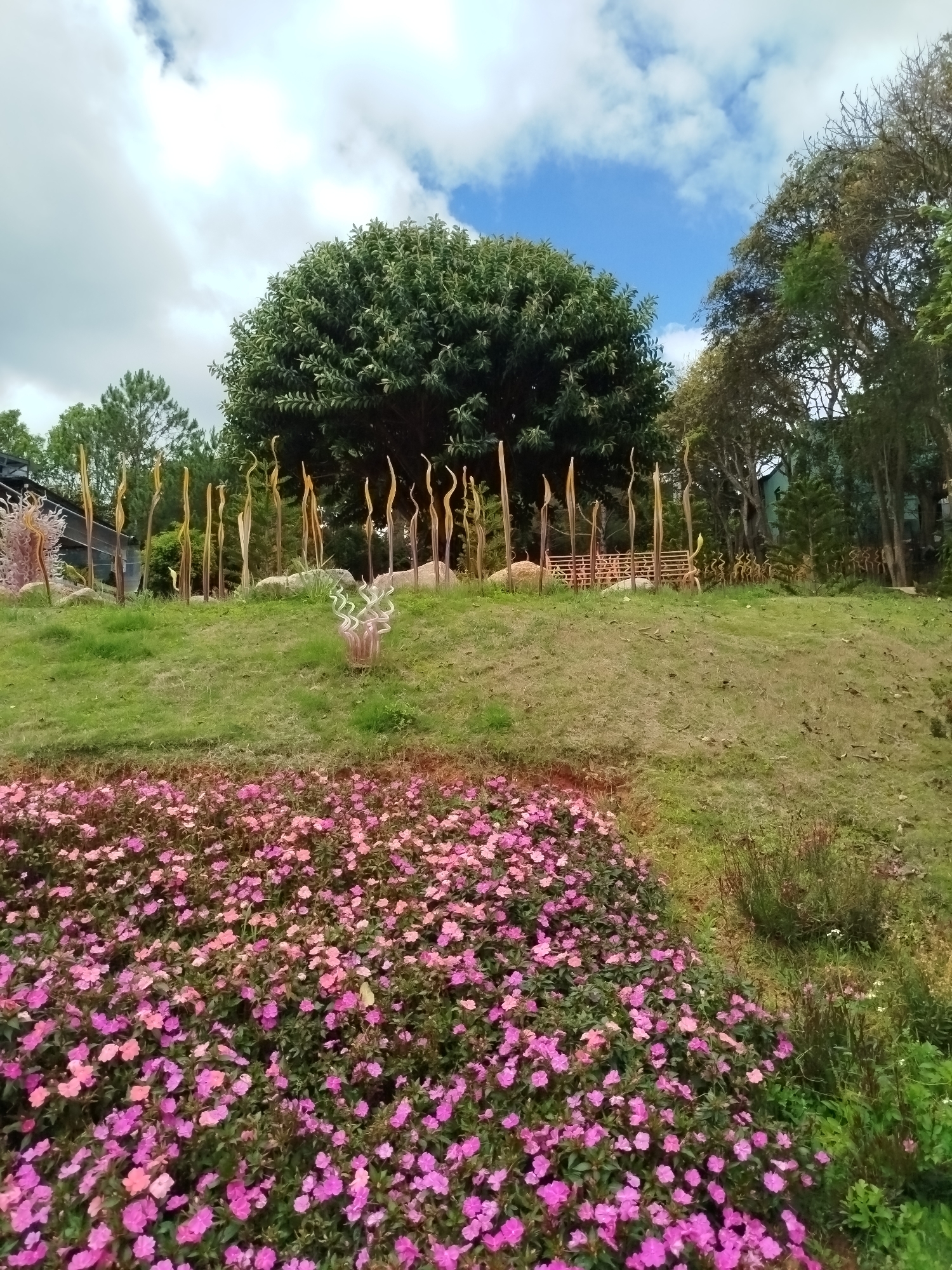 The image depicts a floral landscape in Da Lat, Vietnam. A dense bed of pink impatiens flowers dominates the foreground. Behind the flowers, a grassy slope ascends, dotted with sculptural glass art pieces resembling reeds or stalks. A large, rounded tree with dense foliage is centered on the slope, with other trees and foliage lining the background. A light blue sky with scattered clouds is overhead. The scene suggests a garden or landscaped park setting. A wooden bench is situated among the glass sculptures.