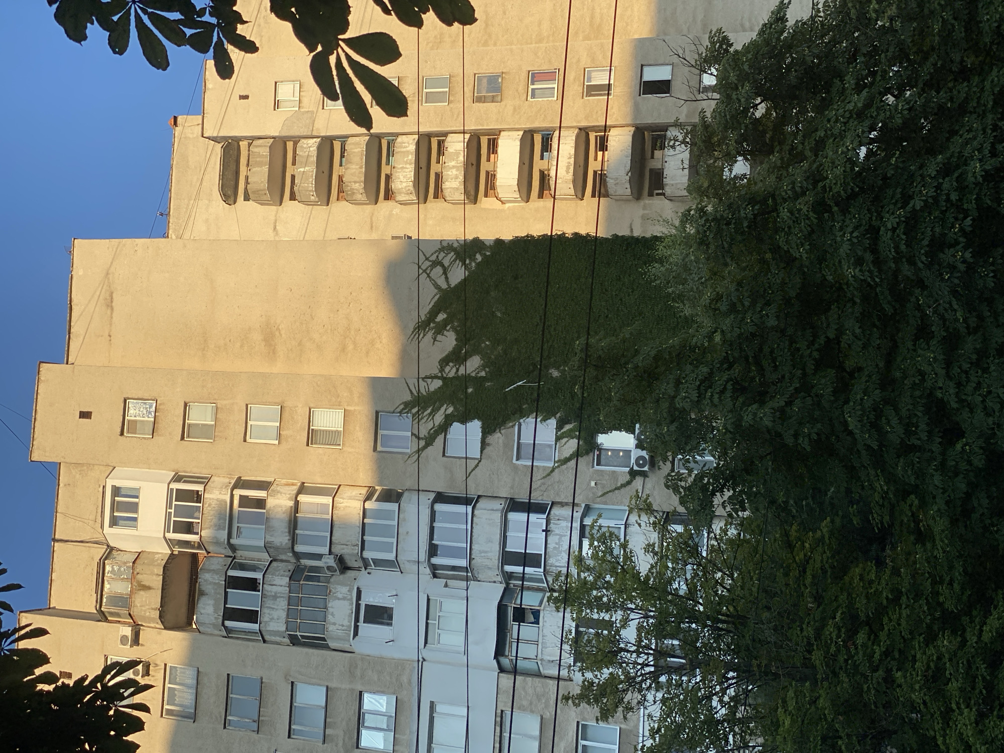 The image shows a tall, concrete apartment building in Chișinău, Moldova. The building has several floors with balconies and windows. A vine is growing up the side of the building, casting a shadow on the facade. Trees and foliage are visible in the foreground and around the base of the building. The sky is clear and blue, with some clouds. The lighting suggests it is either early morning or late afternoon. The building appears to be in a residential area of the city. There are no people visible in the image.