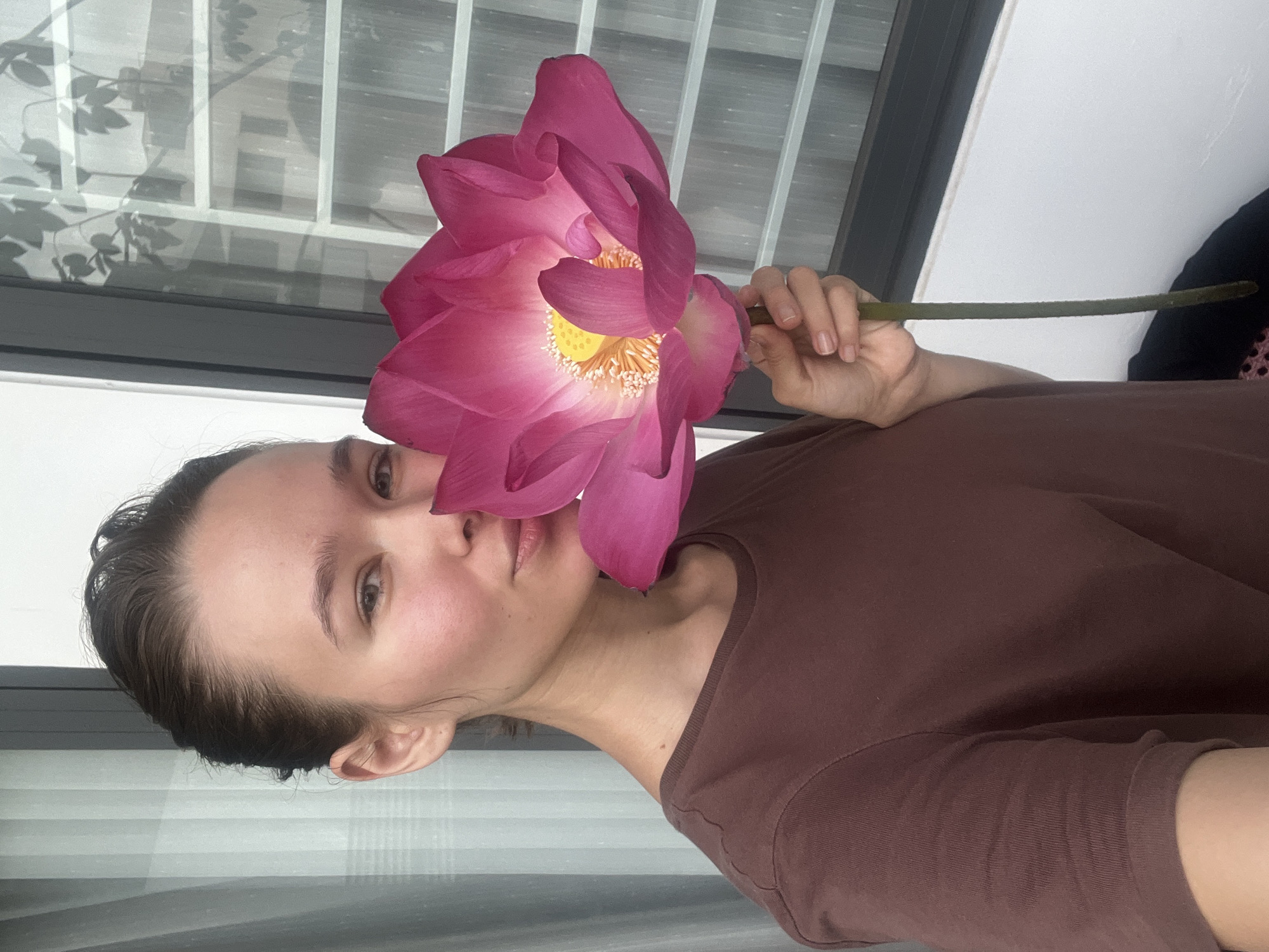 A woman holds a large pink lotus flower, partially obscuring her face. She is wearing a brown t-shirt. Behind her is a window with horizontal blinds and a black frame. The location is potentially in the city of Nam Natural Heritage Area Trang, Vietnam.