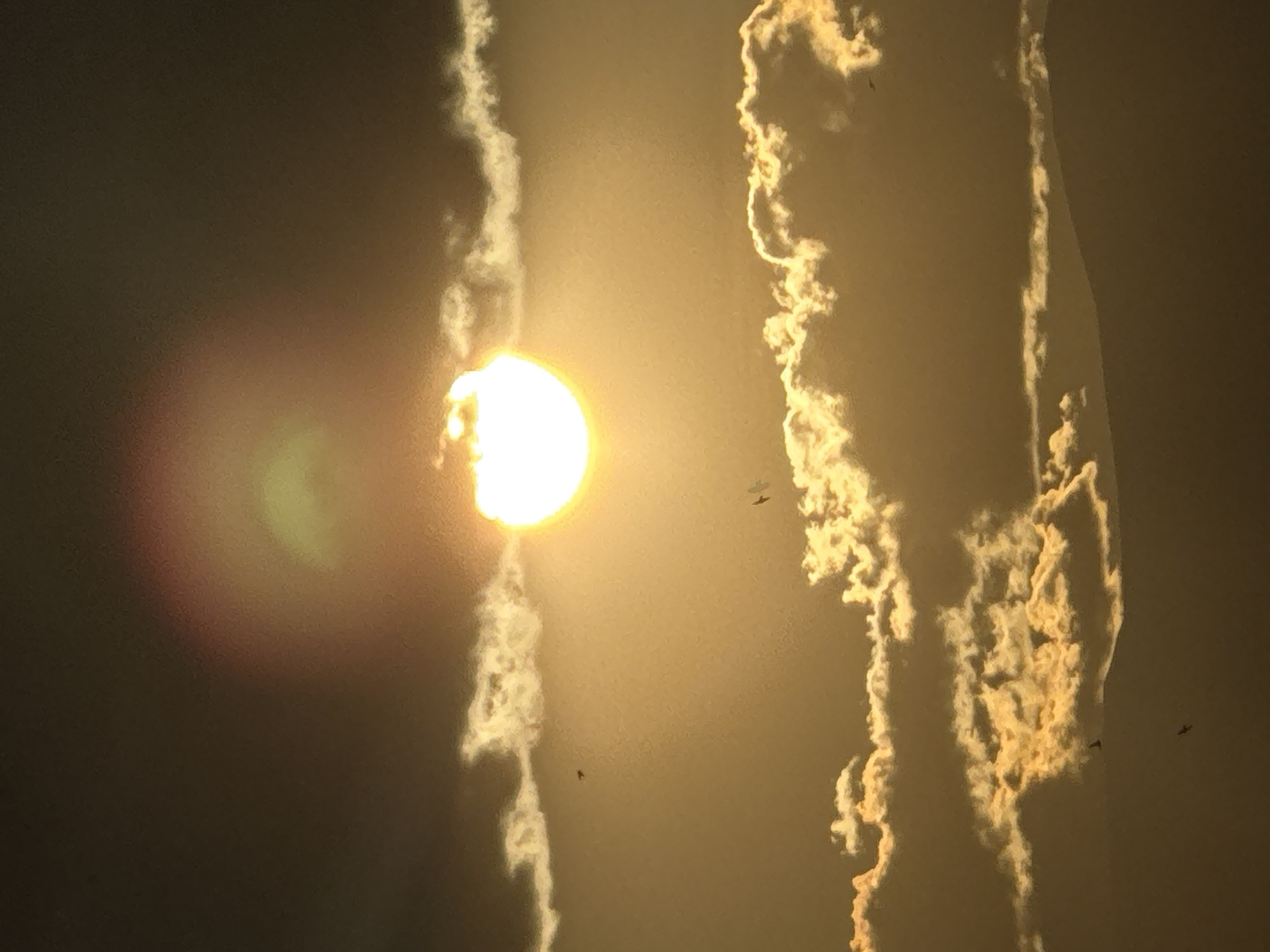 The image captures a celestial scene over Abovyan, Armenia, likely during either sunrise or sunset, evidenced by the warm, golden, and muted brown hues dominating the sky. A bright, circular sun is prominently positioned on the left side of the frame, casting a powerful, radiant glow. A distinct reddish and greenish lens flare emanates to the immediate left of the sun.
Two primary, elongated cloud formations or possibly contrails traverse the sky vertically. The formation closer to the sun is somewhat wispy and broken, while the one further right appears as a longer, more continuous, irregular streak. Both are brilliantly illuminated along their edges by the low sun, creating textured, bright white and yellow patterns against the hazy backdrop.
Several small, dark silhouettes of birds are visible in various parts of the sky, some near the sun and others interspersed among the cloud formations, suggesting they are in flight. The overall atmosphere is hazy and bathed in the soft, backlighting glow of the sun. There is no visible text within the image.