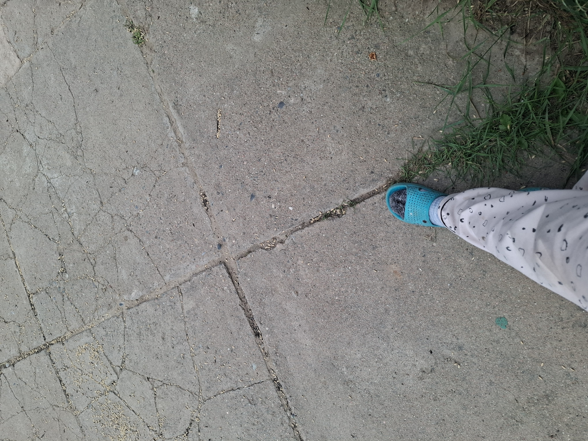 The image shows a close-up of a person's left leg and foot wearing a light-colored pajama bottom with black cartoonish patterns and a blue slip-on sandal. The foot is positioned on a cracked concrete surface, possibly a sidewalk or pathway. Scattered on the concrete are small, light-colored debris, possibly grain husks or seeds, and some blades of grass are growing from cracks in the pavement. The background shows more of the grey, textured concrete with visible cracks and grout lines. The scene is outdoors, under natural light. The location is specified as Jeti-Ögüz, Kyrgyzstan.
