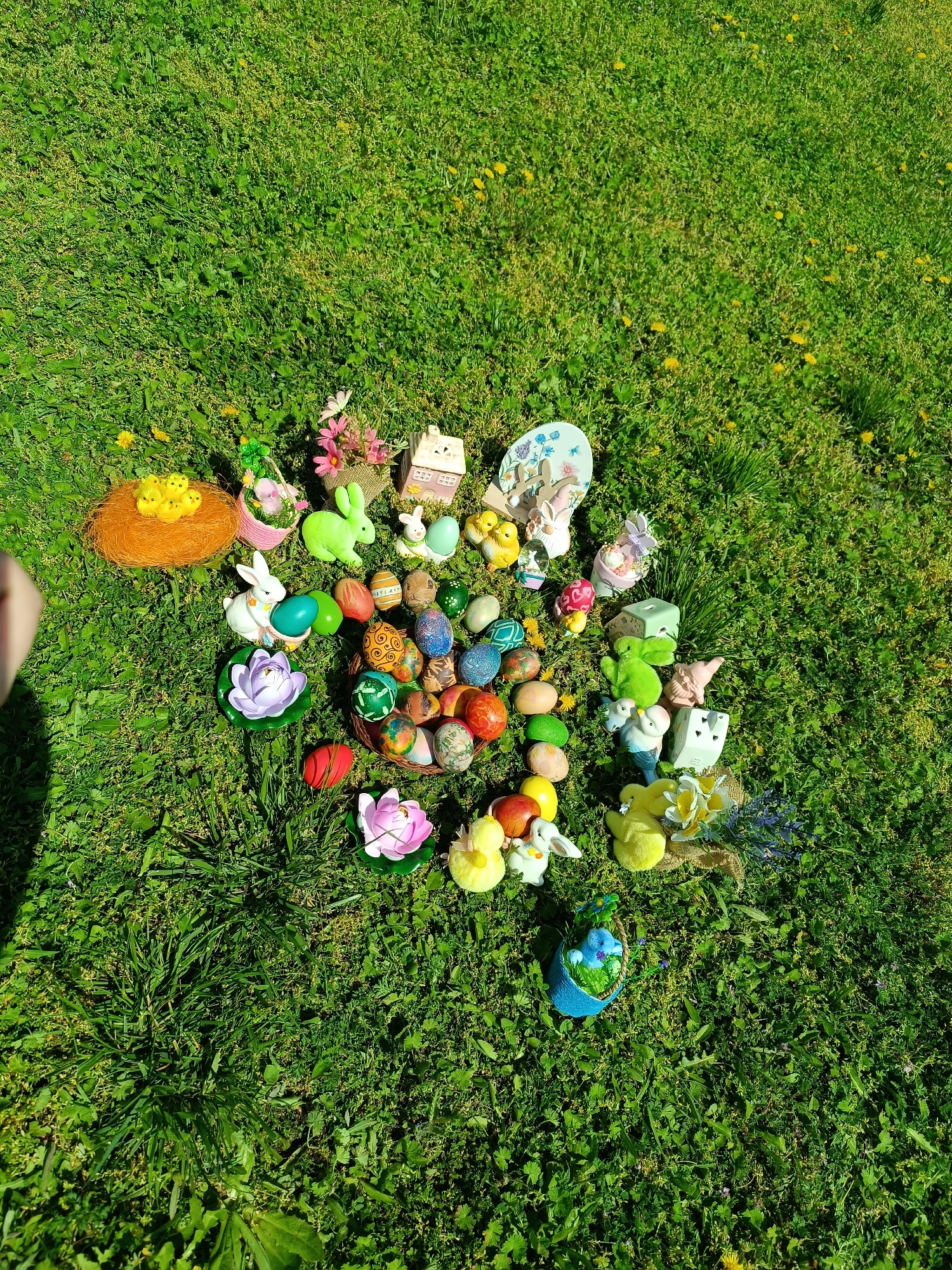 The image shows a collection of Easter decorations spread out on a lawn in what appears to be a yard or garden. The decorations include painted Easter eggs in a basket, decorative bunny figurines, artificial flowers (lotus), and small chicks in a nest. The lawn is green, with some yellow dandelions visible, and sunlight is present in the scene. No people are distinctly visible, although a portion of a hand is visible on the left side. The objects are scattered somewhat randomly on the grass, indicating a possible arrangement for display or perhaps a recent activity involving these items. There is no way to confirm the location of the city, Cherkovitsa, Bulgaria.