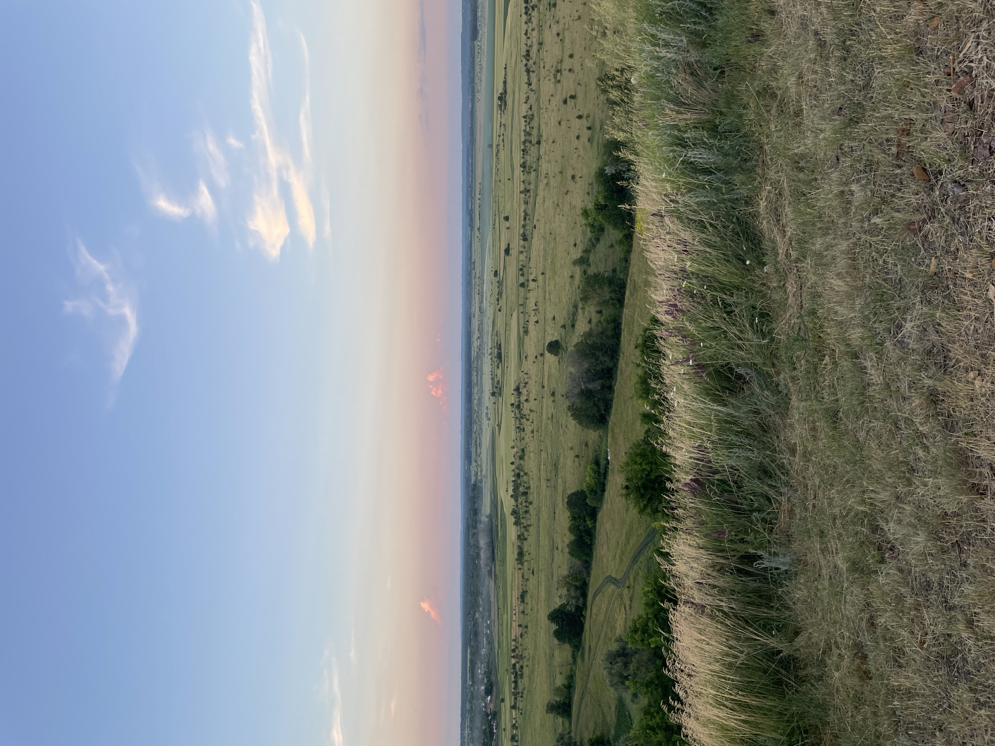 A wide shot shows a rolling landscape at sunset. The sky is a gradient of blue to soft pink, with wispy clouds catching the last rays of sunlight. The foreground on the right is dominated by tall, dry grass, suggesting a meadow or field. To the left of the grass, a gentle slope descends into a vast, green valley. The valley is dotted with trees and appears to be a patchwork of fields, with a winding dirt path visible on the slope. In the far distance, a faint line of trees marks the horizon. The overall mood is tranquil and serene, evoking a sense of natural beauty and the end of a peaceful day. There is no text visible in the image.