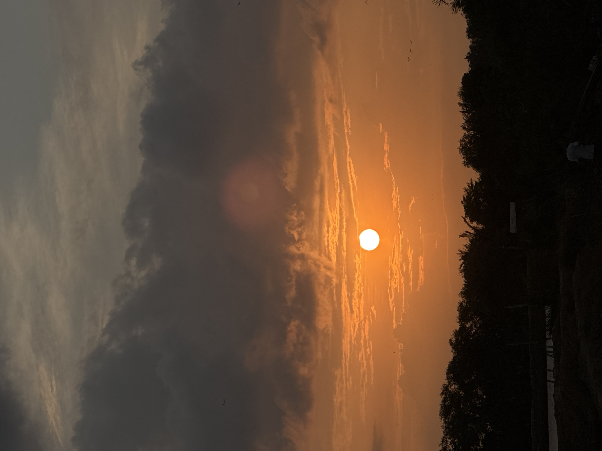 This image captures a serene sunset scene over Grong Grong Capa, Indonesia. The sky is ablaze with warm orange and yellow hues, transitioning to darker tones near the top, suggesting the approaching dusk. Several clouds are scattered across the sky, some illuminated by the setting sun, while others are darker and more ominous. A bright, white sun is visible, positioned slightly off-center, casting a warm glow.
In the foreground, a silhouetted line of dense trees forms the horizon. The foliage is dark and appears to be tropical vegetation. Below the trees, the ground is dark and indistinct, with what appears to be a body of water or a wet area in the lower left. There are some structures that are difficult to discern due to the low light, but they seem to be man-made, possibly part of the landscape or a small settlement. A lone figure, also silhouetted, is walking away from the camera in the lower right portion of the image, adding a human element to the vast landscape. Several small birds are visible in the sky, adding to the natural ambiance of the scene.