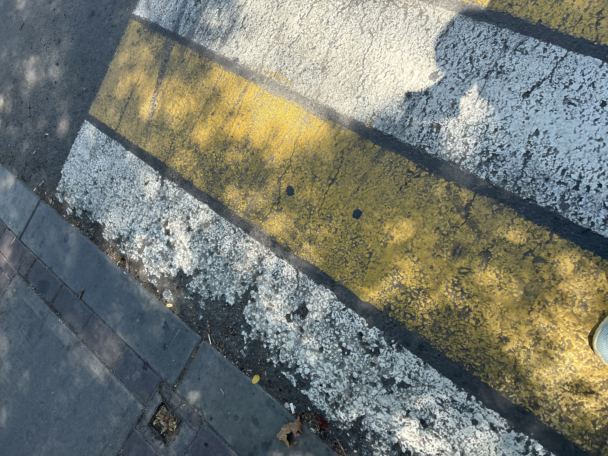 The image shows a close-up, overhead view of a street crossing with yellow and white painted stripes. The stripes are worn and textured, indicating age and frequent use. The ground surface is asphalt, with some debris scattered around, including small pebbles and a dried leaf. To the left of the crossing, a section of sidewalk made of dark gray concrete tiles is visible. The scene is illuminated by sunlight, casting shadows from overhead foliage. The lower edge of the frame shows a person's light blue shoe, suggesting they are standing on or about to step onto the crossing. The scene appears to be a typical urban street in Tashkent, Uzbekistan, likely a pedestrian crossing.