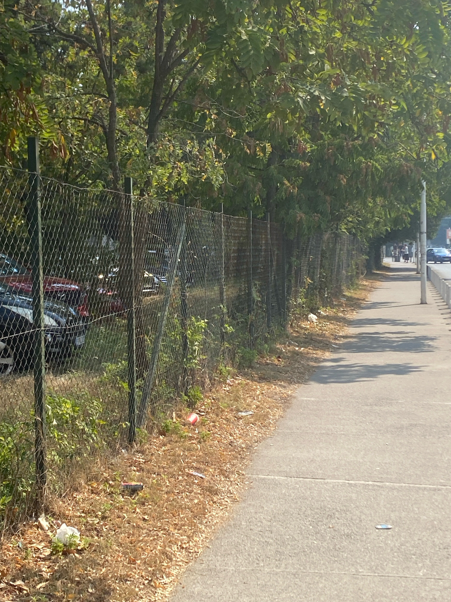 This image depicts a sidewalk next to a chain-link fence lined with trees. The fence separates the sidewalk from a parking area where several cars are visible. The ground on both sides of the fence is covered with dry leaves and some litter, including a red cup and a white plastic bag. The sidewalk itself is clean, with a few dark shadows cast by the trees. In the background, people are walking on the sidewalk, and cars are driving on a road. The scene appears to be a typical urban environment in Podgorica, Montenegro, possibly a street or park area.