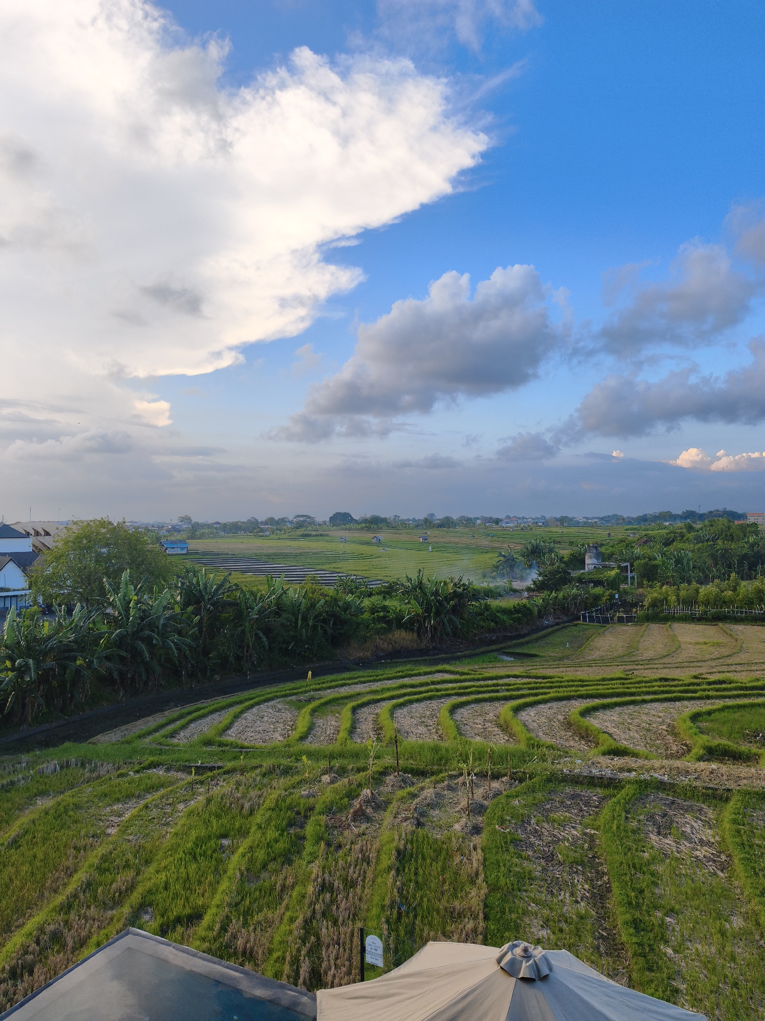 This image depicts a rural landscape in North Kuta, Indonesia. The foreground is dominated by terraced rice paddies, with patches of green growth interspersed with harvested areas. A line of lush vegetation, including banana trees, separates the foreground from a distant expanse of rice fields dotted with small structures. Beyond the fields, a line of trees and rooftops indicates a residential area. The sky is partly cloudy, with a mix of blue and white. A portion of a grey umbrella and a roof are visible at the bottom of the image. There are no people visible in the scene.