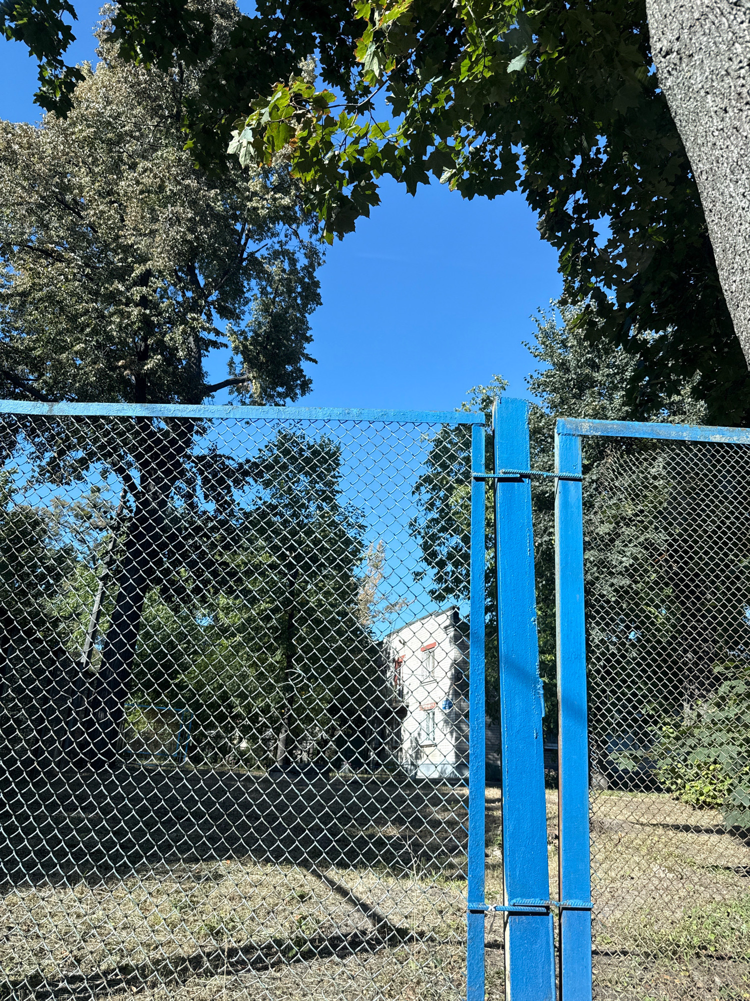 The image shows a blue chain-link fence with a gate. The gate is partially open, revealing a building behind it. The fence is in front of a grassy area with trees and a clear blue sky. The scene is likely an outdoor location, possibly a park or a schoolyard. There are no people visible in the image. The lighting suggests it is daytime.