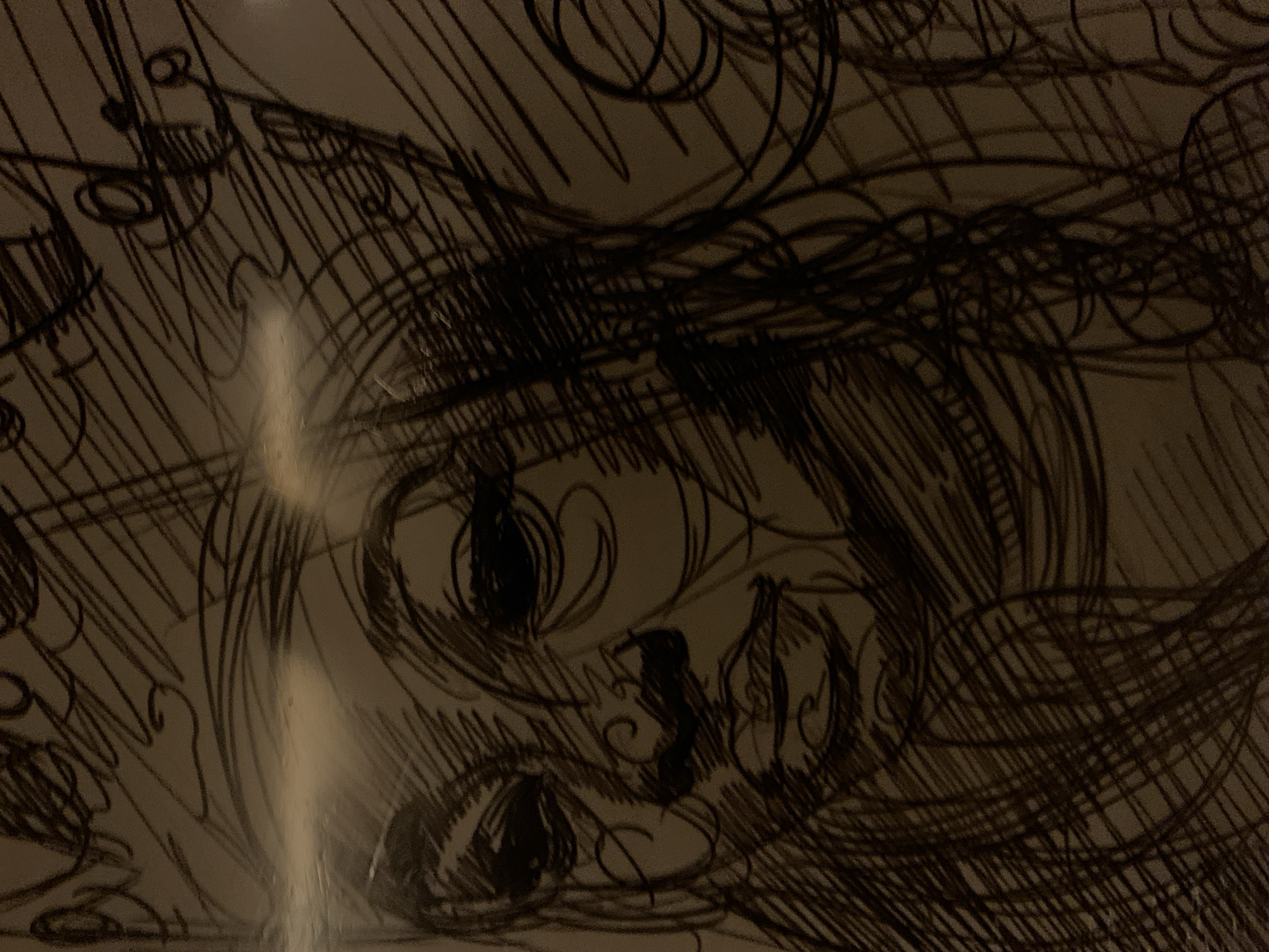 The image depicts a sketch of a face, likely a manga or anime style drawing. The face features large eyes and detailed hair. The drawing is executed with dense hatching and cross-hatching, giving it a textured and somewhat chaotic appearance. The artwork fills the entire frame, with additional sketched elements surrounding the primary subject, making it difficult to decipher any contextual information about a location like Barcelona. There are no other people, subjects, objects, actions, interactions, or clear environmental cues besides the drawing itself.