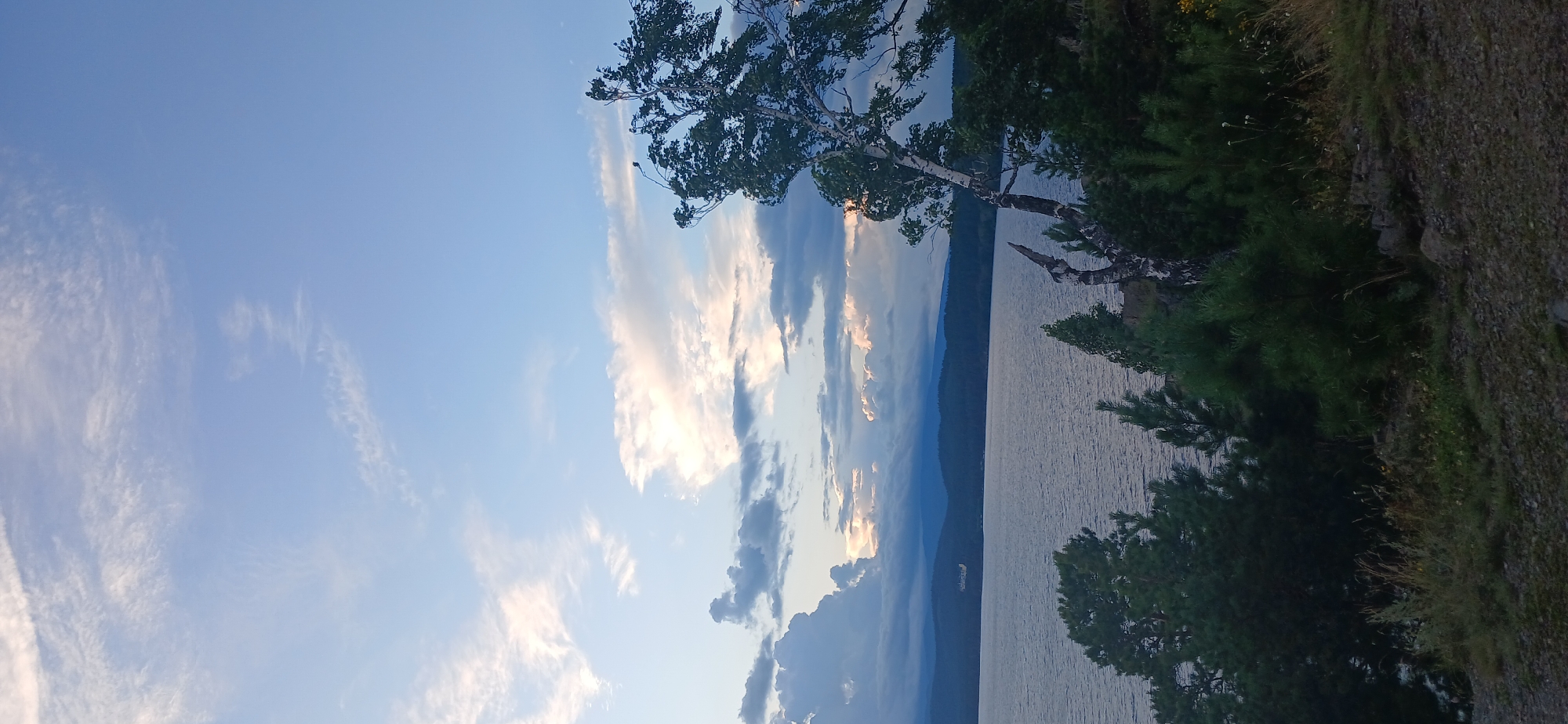 This is a scenic landscape photograph taken at Lake Turgoyak, Russia. The image captures a tranquil evening scene with a vast body of water dominating the lower half of the frame. The water is calm and reflects the soft hues of the sky. In the distance, a range of dark, tree-covered mountains forms the horizon. The sky above is a canvas of blues and whites, with scattered clouds catching the warm glow of the setting sun, creating streaks of light and shadow. In the foreground and mid-ground, dense evergreen trees and bushes line the shore, with a distinctive birch tree with white bark standing out amongst them. The ground in the immediate foreground is covered in rocks, dry grass, and sparse vegetation. The overall atmosphere is peaceful and serene, suggesting a natural and undeveloped area.