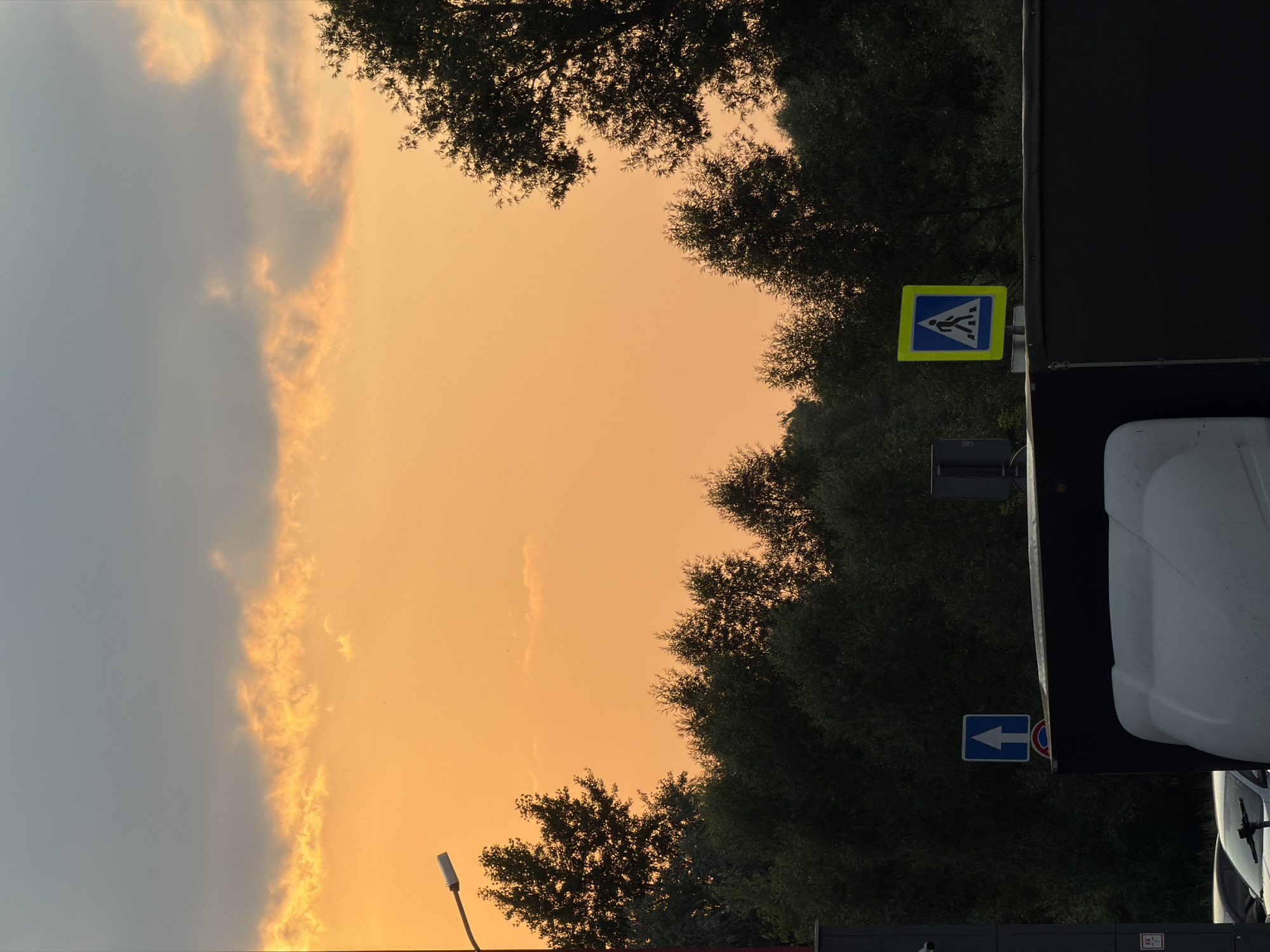 A street lamp with a white fixture on a dark pole is visible against an orange sky with scattered clouds. In the foreground, a line of dark green trees forms a dense canopy. Below the trees, a dark vehicle with a white trailer is parked. Two traffic signs are also visible: one a blue square with a white upward-pointing arrow, and another a yellow square with a blue border and a white pedestrian crossing symbol. The scene is set in an outdoor environment during sunset.