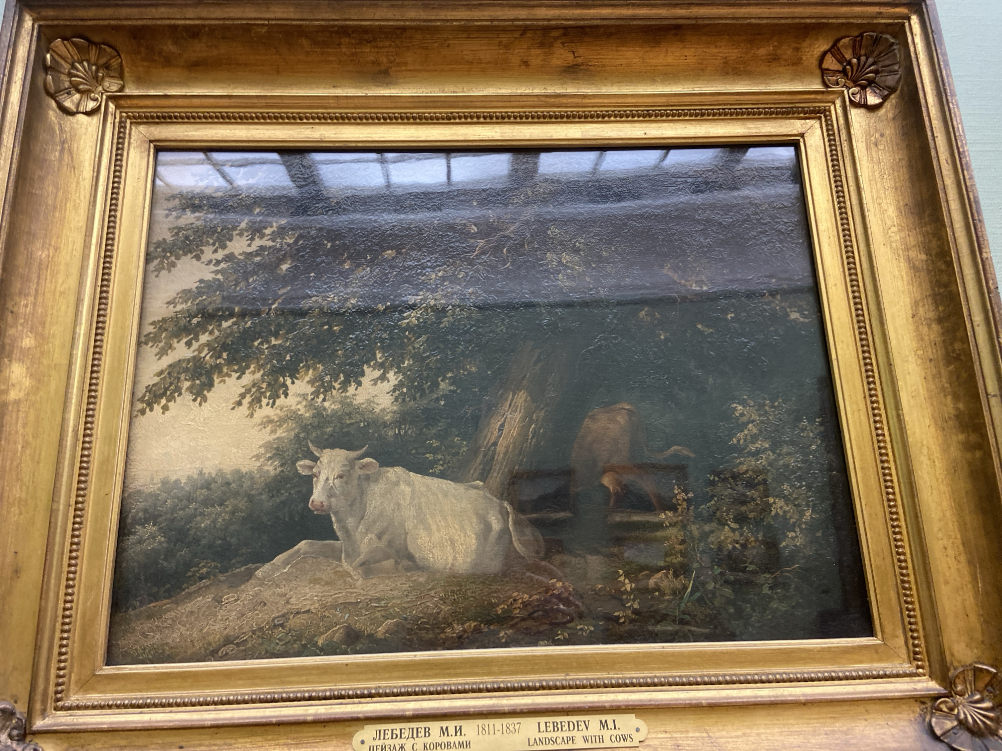 The image shows an oil painting titled "Landscape with Cows" by Lebedev M.I. (1811-1837). The painting is displayed in a gold frame, likely at a museum in Moscow, Russia. The painting depicts a rural scene with a cow lying on a grassy mound under the shade of a large tree. The background features dense foliage and a glimpse of other cows behind a wooden fence. The reflection of a window with multiple panes is visible on the surface of the painting. A small brass plaque with the artist's name, dates, and the title of the painting in both Russian and English is attached to the bottom of the frame.