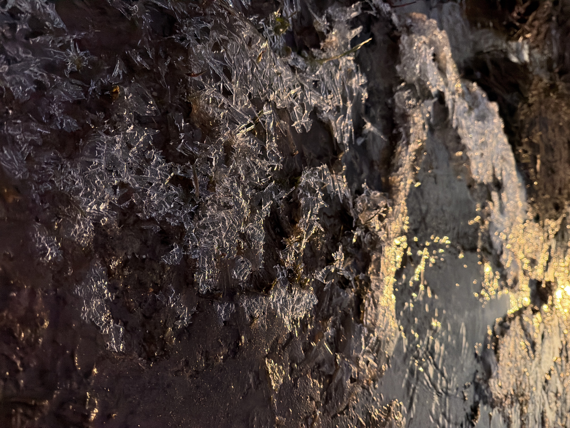 The image shows a close-up view of icy formations along a stream or riverbank. The ice crystals are fragile, needle-like structures covering dark soil and plant debris. The surface of the water reflects sunlight creating bright glimmers. The location is potentially near a body of water during a cold season in the city of Chaikovsky, Russia.
