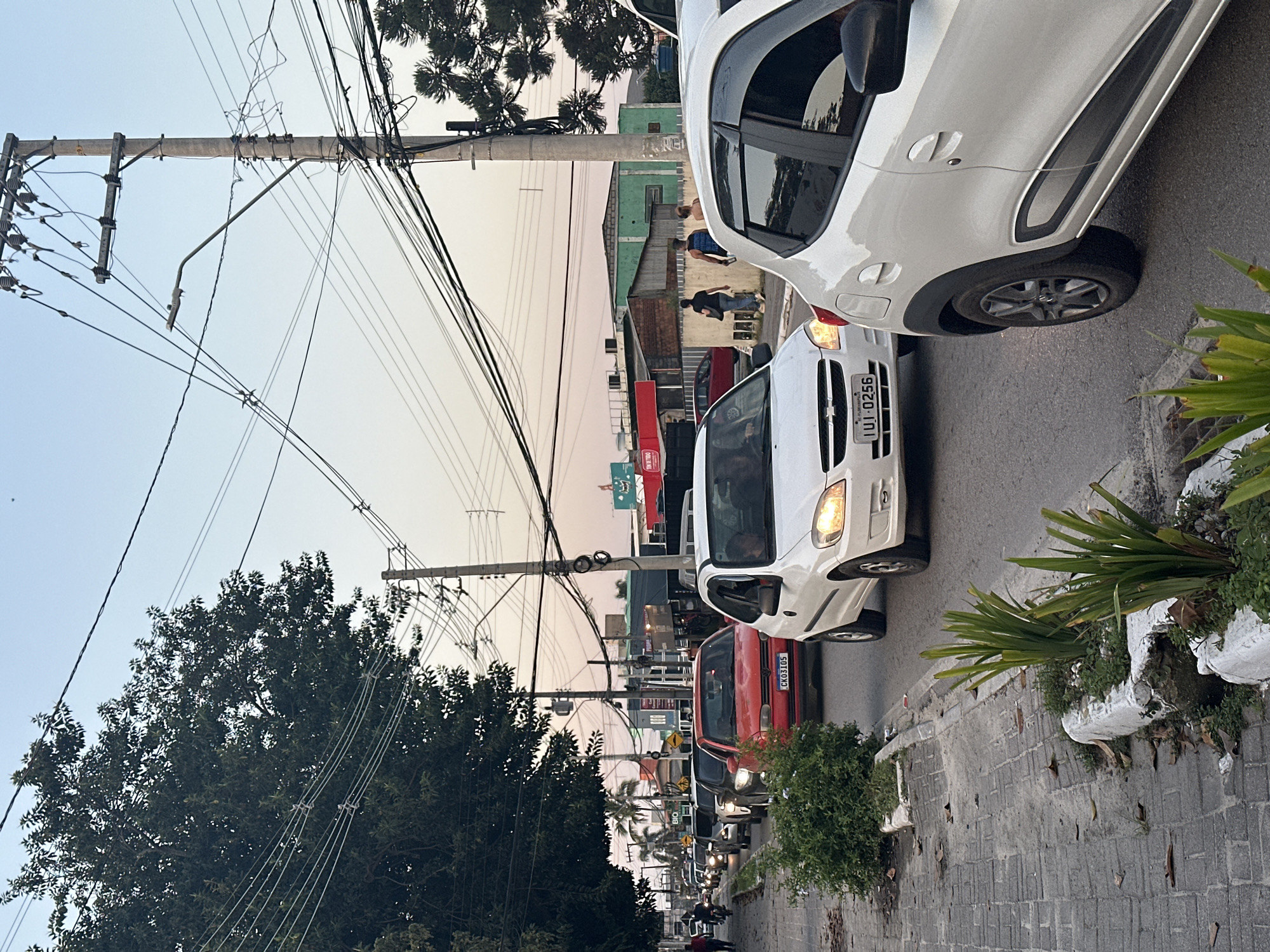 The image depicts a street scene in Florianópolis, Brazil, characterized by a line of cars in traffic on a paved road. The perspective is from the sidewalk, looking towards the road and surrounding buildings. A large tree with dark green foliage is visible on the left, with power lines crisscrossing the sky above. A utility pole with numerous wires and a street lamp is a prominent feature in the middle ground.
Several vehicles are in traffic, including a white Chevrolet Celta in the foreground on the right, and a red car with license plate "CK03105" in the middle ground. Other cars are visible further down the street, forming a queue. The sidewalk in the foreground is paved with gray bricks and features decorative planters with green foliage.
In the background, buildings of varying architectural styles and colors line the street, including a green building and structures with red awnings. A few pedestrians are walking on the sidewalk in the distance, and the sky above suggests it is either early morning or late afternoon with a soft, diffused light. The overall impression is a typical urban street with moderate traffic.
