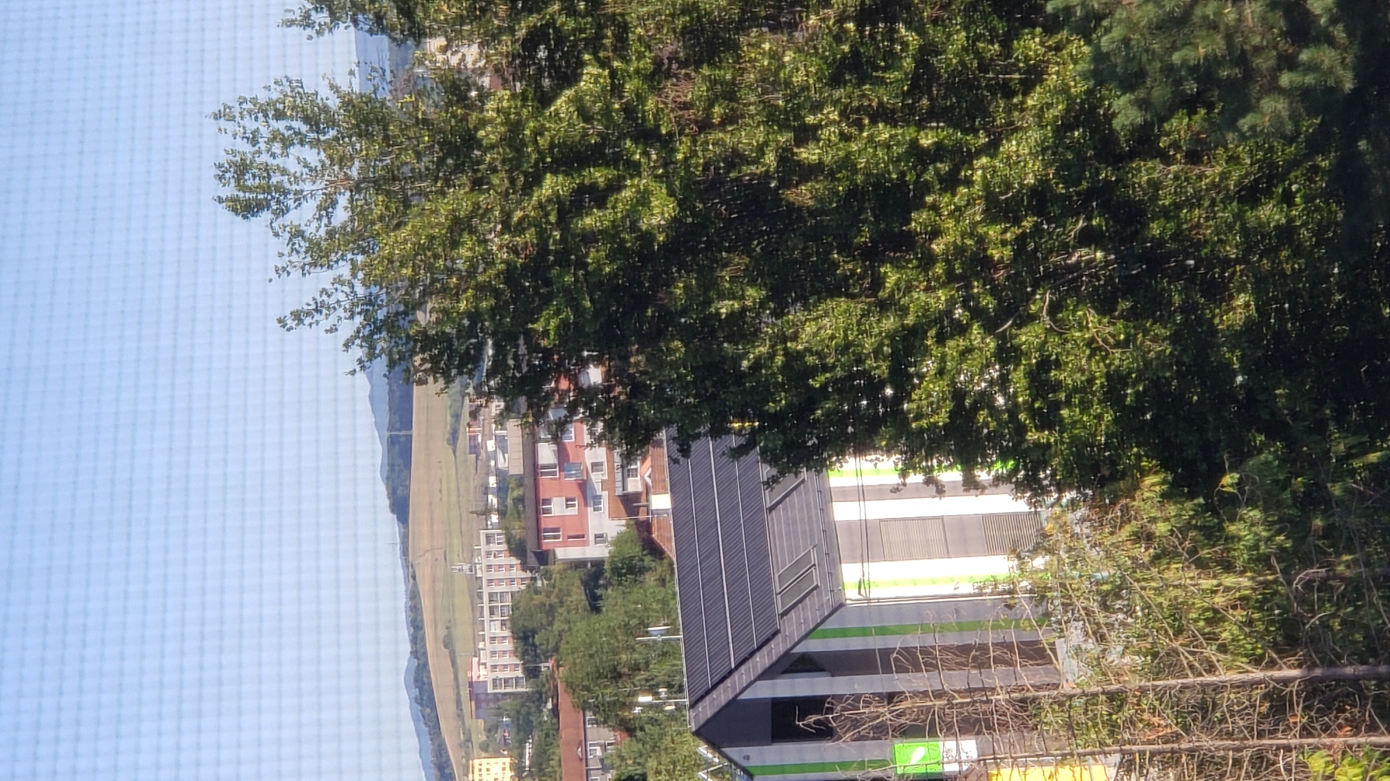 The image shows a view from a window in Prešov, Slovakia, looking out at a residential area with buildings and trees. In the foreground, on the left, is a modern building with a grey, angled roof covered in solar panels. The building has vertical stripes of white and green on its facade. To the right of this building, a large, leafy green tree dominates the mid-ground. Behind these are several multi-story residential buildings with red and white facades. Further in the distance, hills are visible, with some sparse vegetation and scattered buildings on their slopes. The sky is clear and blue.
