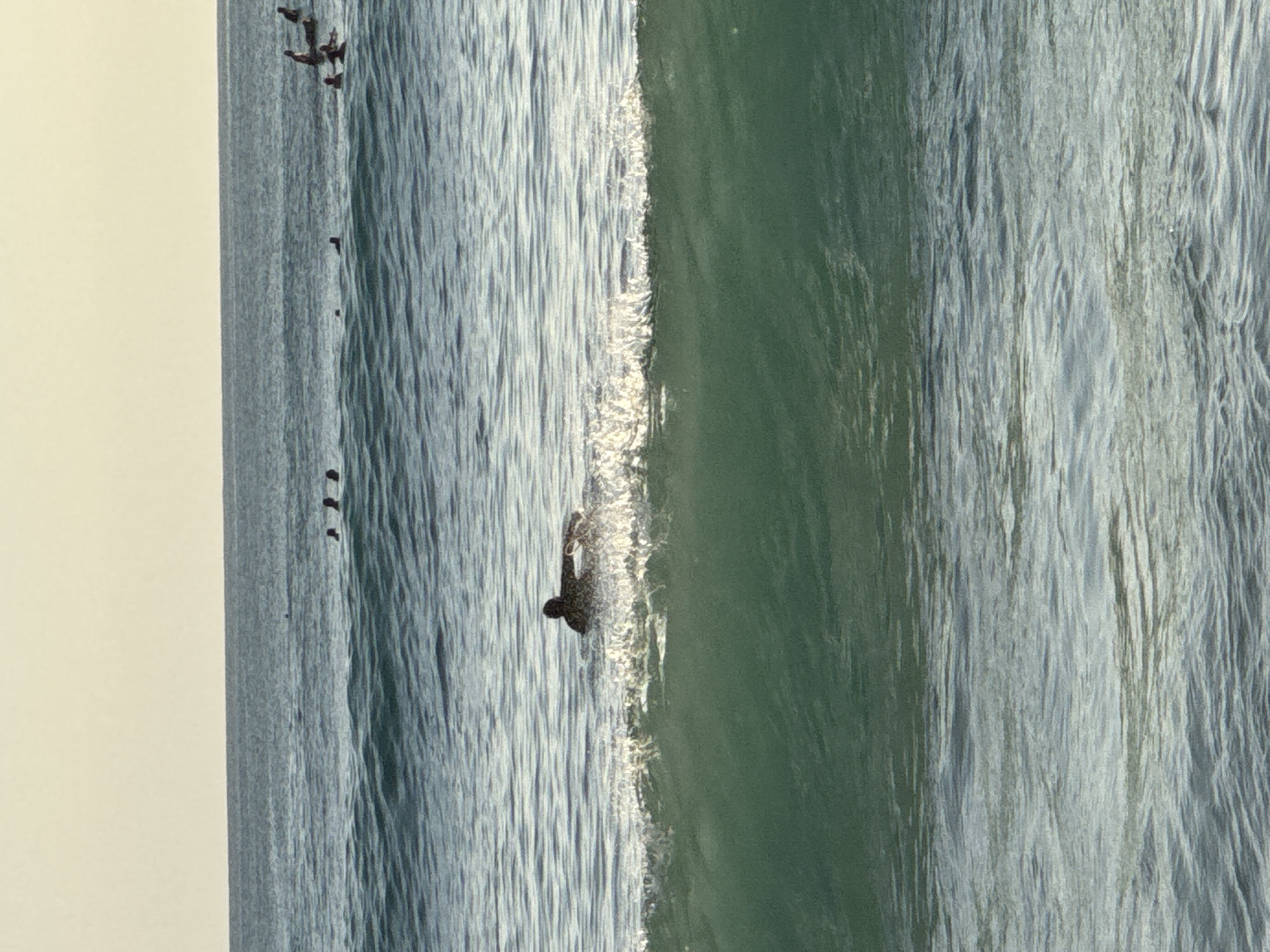 A surfer is in the ocean in Kuta Selatan, Indonesia. The ocean water is a mix of blue and green, with some white foam from the wave. There are some birds flying in the sky and some floating in the water. The sky is grey.