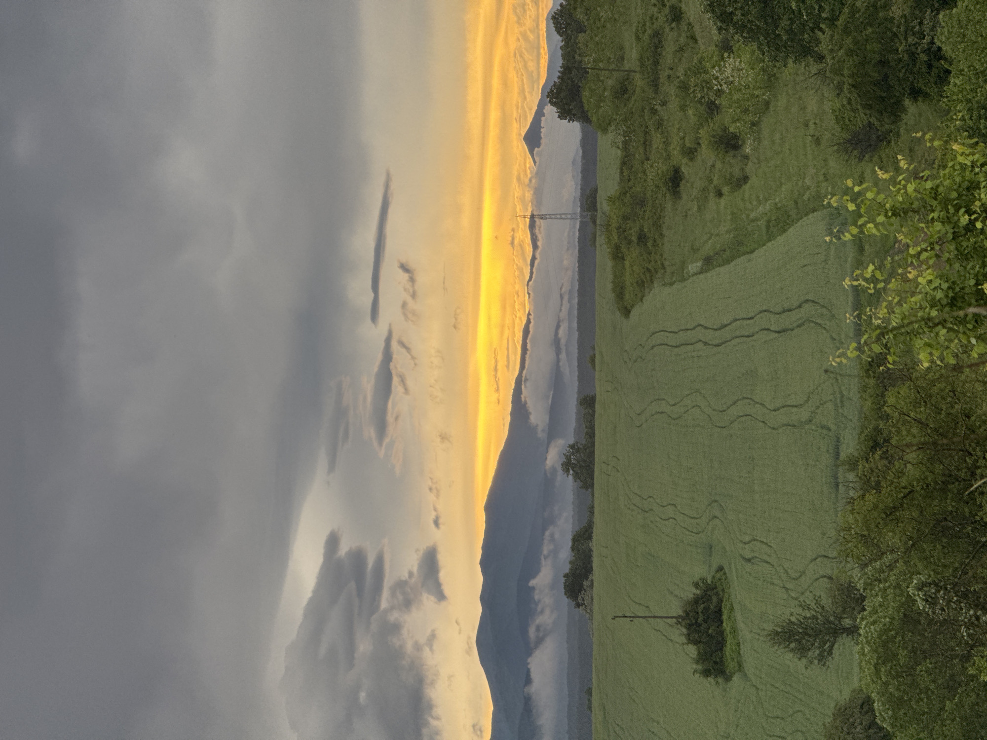 The image shows a landscape with a field in the foreground and mountains in the background. The sky is divided, with a dark, cloudy area on the left and a bright, golden area on the right. The field is green with tracks or patterns visible within it. Trees and bushes line the edge of the field. A power line can be seen in the background. The image is rotated ninety degrees clockwise. Location is unknown.