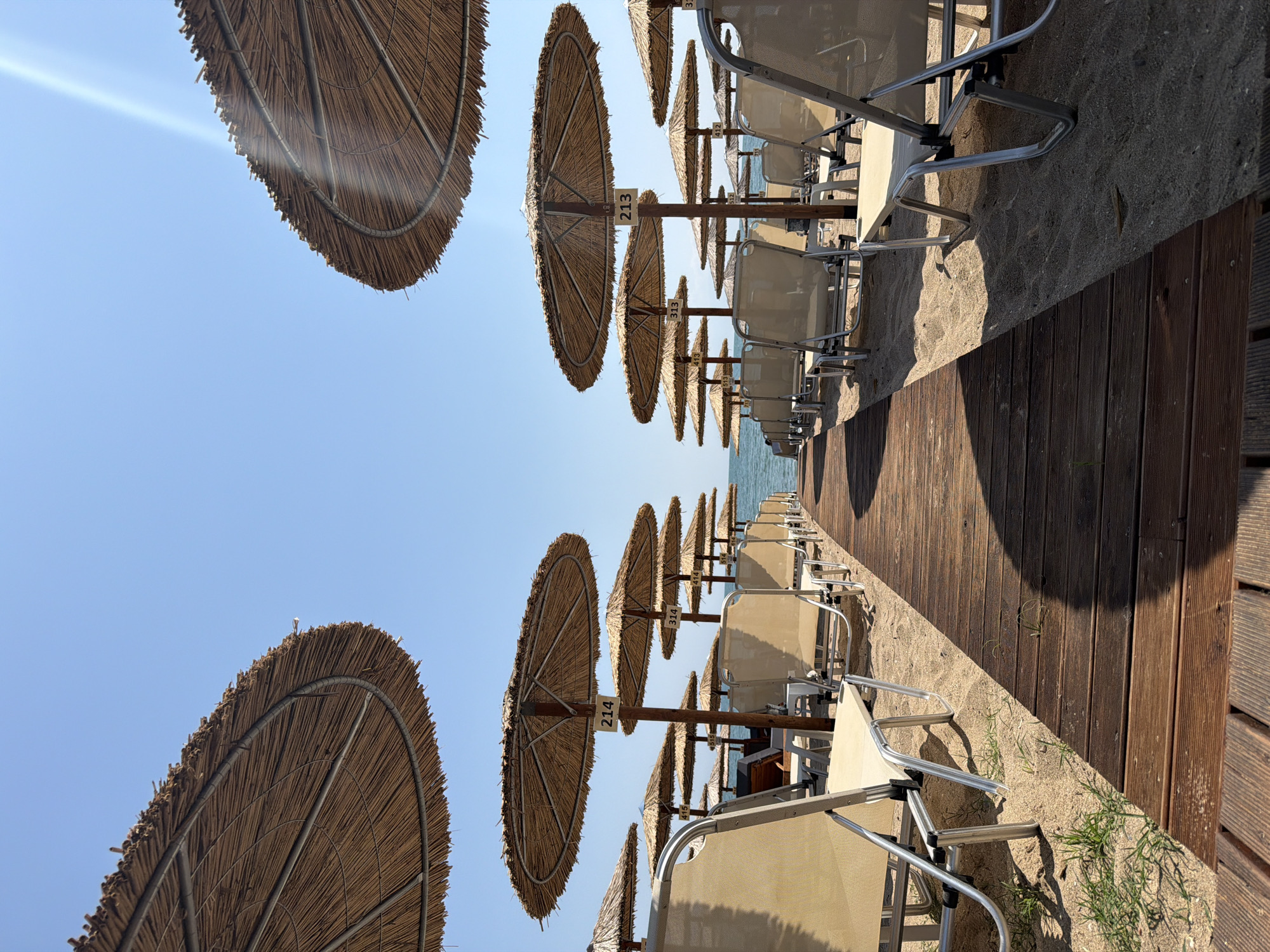 The image captures a serene, well-organized beach scene in Alexandroupolis, Greece, under a clear, bright blue sky. A long line of straw-thatched beach umbrellas extends into the distance, running parallel to the coastline. Each umbrella is accompanied by multiple light-colored sun loungers with metallic frames, arranged neatly on the fine sand.
A wooden deck or walkway runs alongside the sun loungers and umbrellas, closer to the foreground and extending towards the horizon. Patches of green grass are visible growing in the sand near the wooden path. In the background, a calm, blue sea meets the sky, creating a distinct horizon line.
No people are present in the scene, suggesting an early morning setup or a quiet moment on the beach. The strong, high-angle sunlight indicates it is likely midday or early afternoon, casting sharp, defined shadows from the umbrellas and loungers onto the sand and wooden path. A subtle sun lens flare is visible in the upper left portion of the sky, above one of the umbrellas.
Several white signs with black numbers are affixed to the poles of the beach umbrellas. Clearly visible numbers include "213" and "214" on umbrellas in the mid-ground. Further down the line, numbers such as "313", "314", "414", and "515" can be faintly discerned, indicating a system for designating individual beach spots. The scene evokes a sense of peaceful relaxation and readiness for visitors.