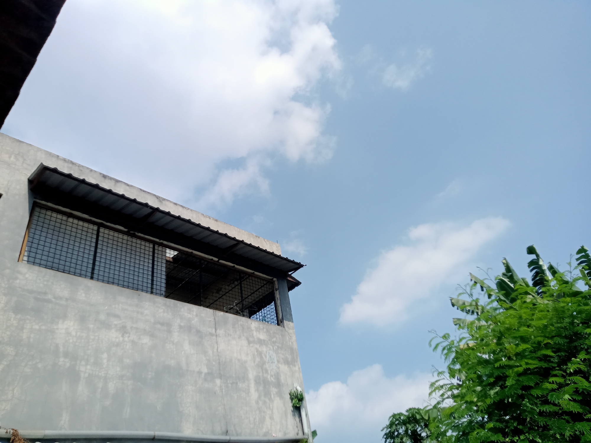 The image shows a concrete building with a metal roof, viewed from a low angle looking up towards a cloudy blue sky. A section of the building has a caged opening. Lush green foliage is visible on the right side of the frame, suggesting a tropical environment. The overall scene depicts an outdoor urban or semi-urban setting.