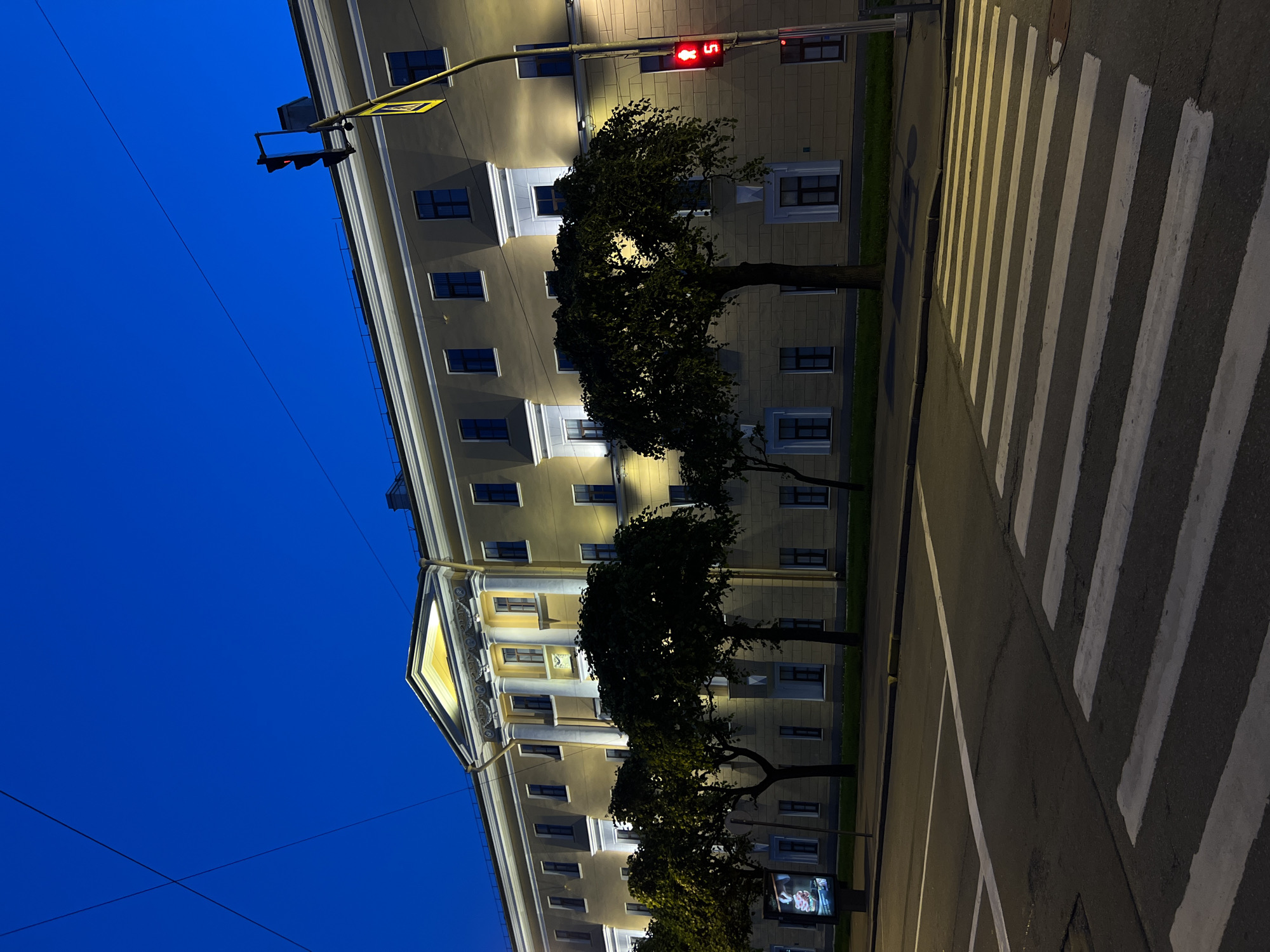A wide-angle night-time shot of a building illuminated with lights. The building is pale yellow with white trim and has many windows and columns. In front of the building, there are several trees with dark green leaves. In the foreground, there is a crosswalk with white stripes on a dark asphalt road. A traffic light on a pole is visible, showing a red pedestrian signal with a countdown timer displaying "5". There are overhead wires in the dark blue sky. The scene appears to be a street in Saint Petersburg, Russia, likely near a historic building. There are no people visible in the image.