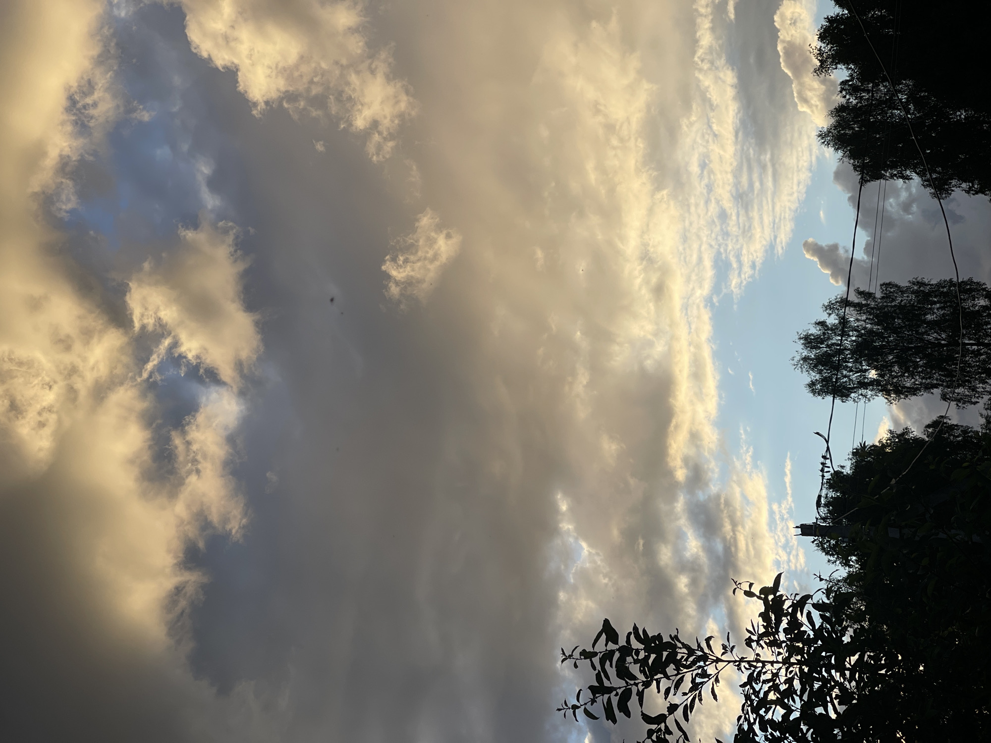 The image depicts a dramatic sky filled with a mix of dark grey and bright, golden-yellow clouds, suggesting either an impending storm or the aftermath of one. The clouds are textured and varied, with some appearing wispy and others more dense and textured. Patches of bright blue sky are visible through the cloud cover, particularly towards the right side of the frame.
In the foreground, silhouetted against the sky, are the dark outlines of trees and branches. These create a natural frame for the sky, with lush foliage visible on the right and a more sparse arrangement of leaves and branches on the bottom right. The overall impression is one of nature's grandeur and the dynamic beauty of the sky.
The lighting indicates a time of day when the sun is low, likely either sunrise or sunset, given the warm, golden hues of the clouds. The atmosphere feels moody and slightly dramatic due to the contrast between the dark and light clouds. There are no people or specific objects clearly visible, making the sky and the natural elements of the trees the primary subjects. The scene evokes a sense of awe and contemplation. The location context of Заречный, Russia, suggests this is a natural landscape or park setting. No visible text is present in the image.