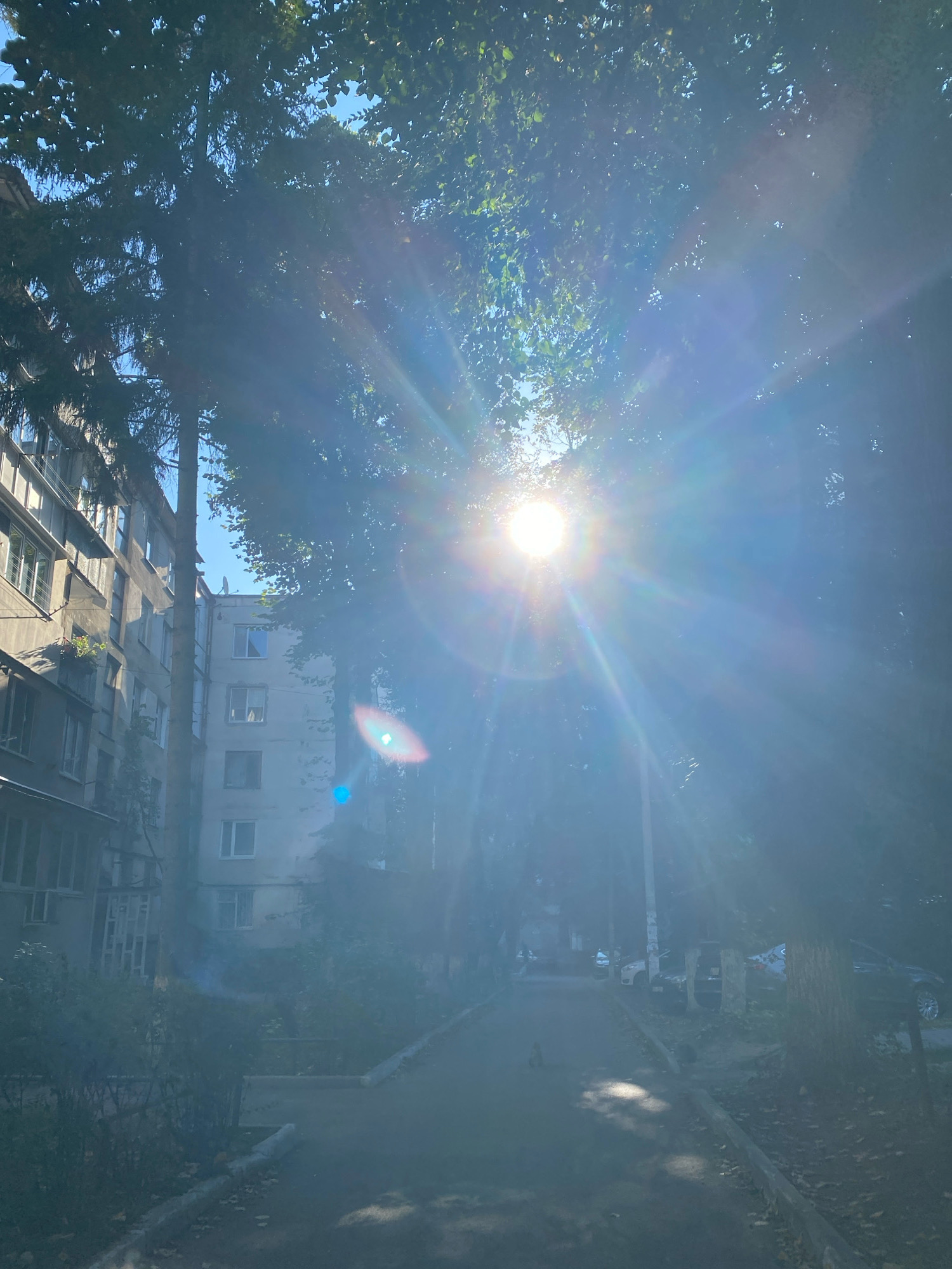 The image depicts a sun-drenched courtyard with two apartment buildings on the left side and a walkway leading into the distance. The sun is prominently featured, creating lens flare and beams of light that filter through the lush green foliage of trees.
On the left, a multi-story apartment building, likely constructed in the Soviet era, displays a uniform facade with visible windows and balconies. Some balconies have plants growing on them. Adjacent to it, another, taller apartment building is partially visible.
The walkway in the foreground is paved and appears to be slightly worn, with fallen leaves scattered along its edges. Trees line the walkway, their branches and leaves obscuring parts of the buildings and sky. In the background, more apartment buildings and parked cars can be seen along the street, though they are largely obscured by the sunlight and trees.
The overall impression is that of a typical residential courtyard in a city, possibly in Chișinău, Moldova, during a bright, sunny day. The sunlight creates a hazy, atmospheric effect, adding a dramatic visual quality to the scene.