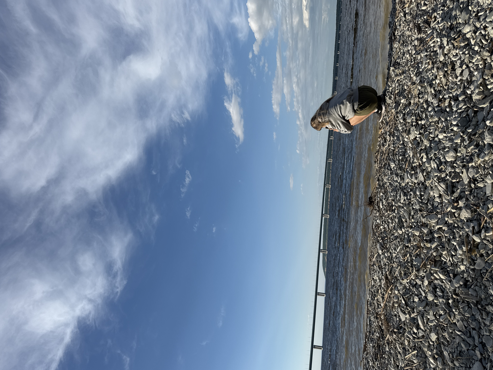 The image depicts a solitary individual crouching on a rocky shoreline next to a body of choppy water, facing a distant multi-span bridge under a partly cloudy sky. The location is an unidentifiable waterfront within the city of Unknown, Unknown.
In the foreground, the ground consists of a dense layer of irregularly shaped grey and white pebbles and small rocks, intermingled with scattered pieces of light-colored driftwood or branches. The person, viewed from the back, is positioned slightly to the right of the frame's center, squatting close to the water's edge. This individual appears to be an adult with light-colored hair, wearing a grey hooded sweatshirt, dark olive-green shorts, and dark athletic shoes with white soles and black socks. The person is holding a dark rectangular object, consistent with a smartphone or small camera, pointed towards the water and the bridge, suggesting the action of taking a photograph or video.
The midground features a wide expanse of dark, turbid water exhibiting small waves. Stretching horizontally across the water in the background is a long, multi-span bridge with a dark green deck supported by numerous light-colored piers. The bridge extends from the left side of the frame, passing behind the crouching individual, and continues towards the right horizon, where it approaches a low-lying, tree-covered landmass.
The sky, occupying the upper two-thirds of the image, is a vibrant blue in the lower and middle sections. It features widespread, thin, white cirrus and cirrocumulus clouds, particularly concentrated in the upper left and upper right quadrants, gradually thinning towards the lower sky. The lighting suggests daytime conditions, with diffused sunlight. No other individuals or prominent objects are present in the scene besides those described.