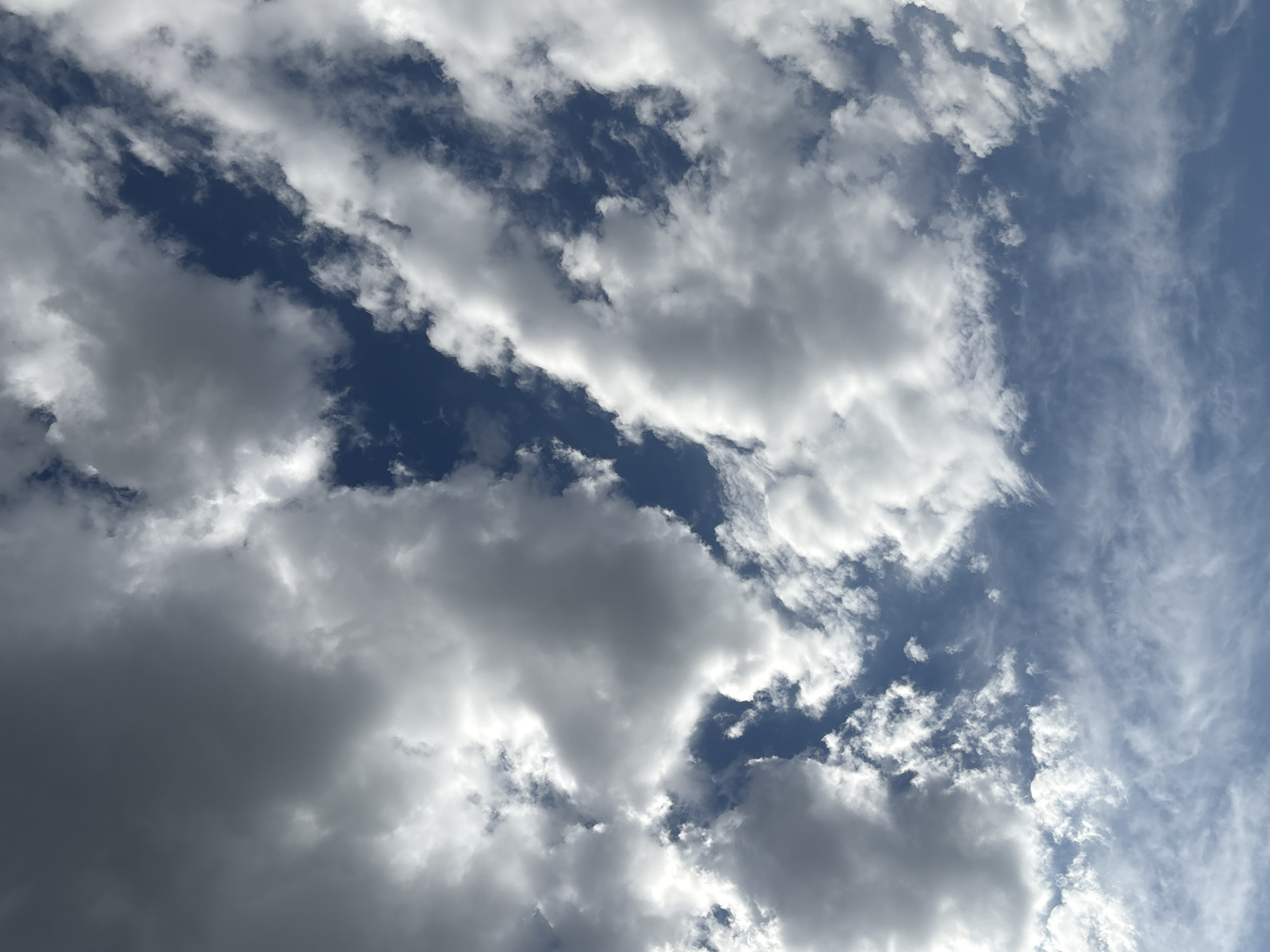 The image is a close-up, upward-facing view of a sky filled with a mix of dark gray storm clouds and bright white cumulus clouds. Patches of deep blue sky are visible between the clouds. The lighting suggests it is daytime, with sunlight illuminating the edges and undersides of the white clouds. The overall impression is of a dynamic and somewhat dramatic sky. There are no people, buildings, or any identifiable landmarks of Omsk, Russia visible in this image.