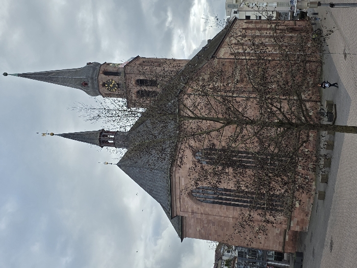 This image depicts the Alexanderskirche (Alexander Church) in Zweibrücken, Germany, viewed from an elevated perspective on an overcast day. The church, constructed primarily of red sandstone, features a steeply pitched dark gray shingle roof and two prominent spires. The taller spire, located on the right, is octagonal with a conical roof and displays a gold-colored clock face on its upper section. The smaller spire on the left also has a conical roof, topped with a gold-colored weather vane. The church's facade is punctuated by tall, arched windows with intricate mullions.
In the mid-ground, a deciduous tree with dark, sparse foliage stands centrally, partially obscuring the church. The foreground consists of a paved pedestrian area, likely a plaza, featuring light-colored pavers arranged in a pattern. Several low, rectangular concrete blocks are situated on this paved surface.
One individual is visible in the lower right walking away from the camera, dressed in dark clothing and carrying a light-colored object. Additional, less distinct figures are present in the distant background to the right. Modern multi-story buildings with lighter facades and dark windows are visible to the right of the church, contrasting with its historical architecture. The sky is uniformly overcast with light gray cloud cover. Small dark specks, indicative of birds, are visible against the sky in the upper left quadrant. A streetlamp pole is partially visible on the far right.