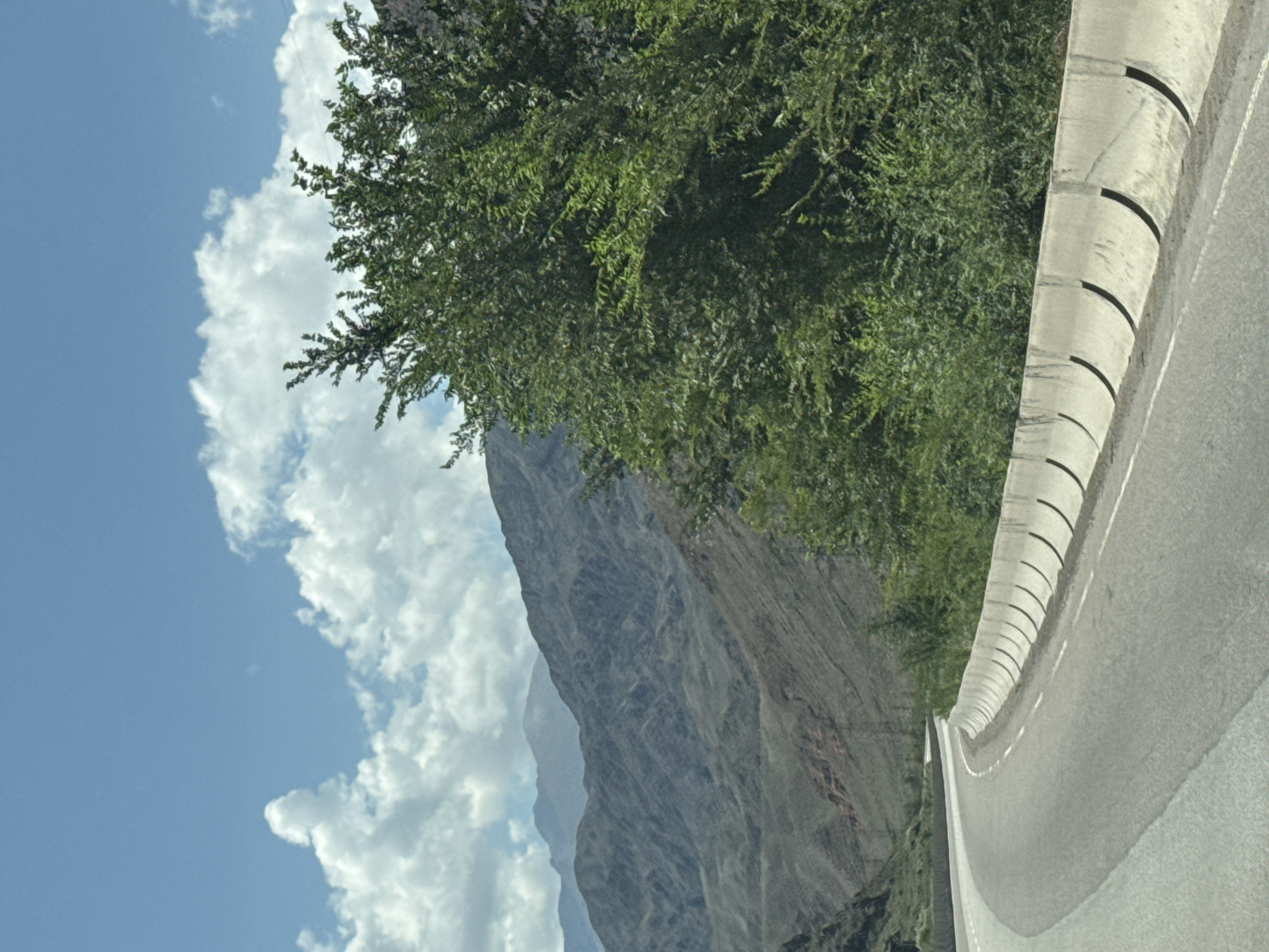 The image captures a winding asphalt road on a mountain pass in Kyrgyzstan. The road is bordered by a low concrete barrier and a lush green tree on the right side. In the background, rugged, brown mountains rise under a bright blue sky dotted with white, fluffy clouds. The scene appears to be a landscape view, likely taken from a moving vehicle. There are no people or structures visible.