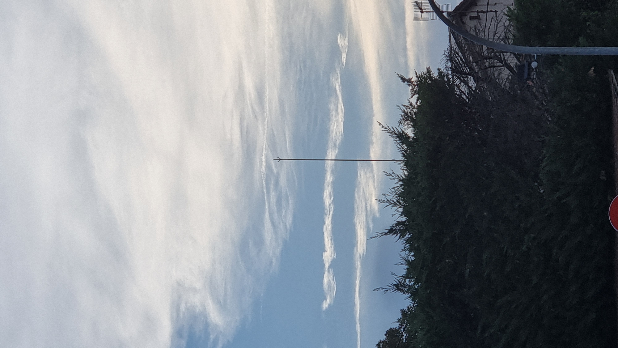 A tall, thin pole with a pointed tip stands vertically against a pale blue sky with scattered wispy white clouds. The pole is centrally located in the upper half of the frame. Below the sky, a dense, dark green hedge or line of trees fills the lower half of the image. Behind the hedge, to the right, a portion of a building with a sloped roof is visible, along with an antenna. The lighting suggests it is either early morning or late afternoon. There are no people or animals present.