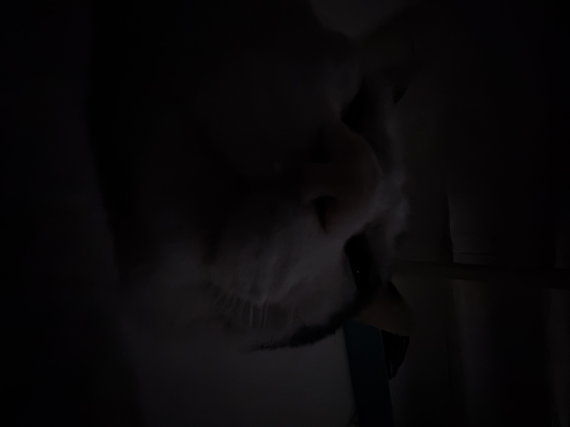 The image shows a close-up of a cat's face in low light. The cat is primarily white with some darker markings around its nose and mouth. The whiskers are visible, as well as the outline of its nose and the shape of its face. The background is dark and indistinct, though there appears to be some sort of vertical structure to the right of the cat, possibly part of a door frame or wall. The low light makes it difficult to discern any further details. There is no indication of the location being Sant Martí Sarroca, Spain.