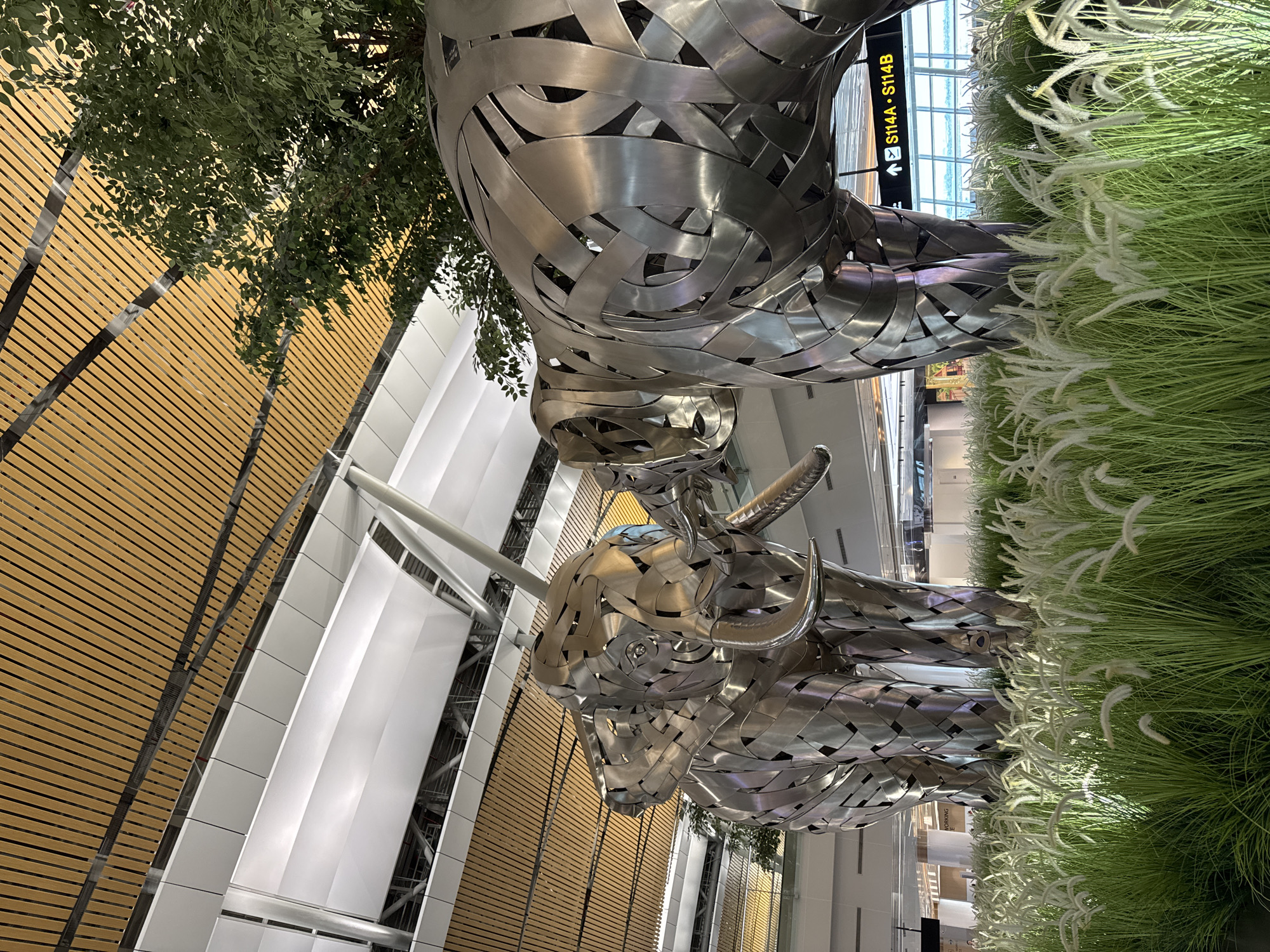 The image captures a stainless steel sculpture of two bulls interacting, possibly fighting. The bulls are constructed from interlaced strips of metal, giving them a dynamic and somewhat abstract appearance. The sculptures are placed within an indoor environment, likely an airport or large public space, as indicated by the signage showing "S114A • S114B" (possibly gate numbers) and the presence of walls with vertical panels and beams. Abundant greenery, including tall grasses with white plumes and some leafy trees, surrounds the sculptures. The location appears to be Nong Prue Subdistrict, Thailand, based on information provided.