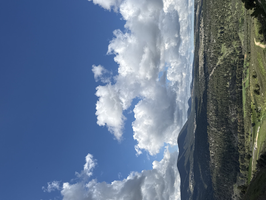 The image displays a panoramic landscape view over a mountainous, forested valley, consistent with the terrain surrounding Safed, Israel. The upper two-thirds of the frame consists of a clear, deep blue sky populated by numerous cumulus clouds, exhibiting distinct white tops and shadowed grey undersides. A small, dark, unidentifiable object is visible in the upper left portion of the sky.
The midground features a prominent range of dark green mountains and hills, heavily forested with dense tree cover. Cloud shadows are visible as darker bands across these slopes. On the far left slope of the primary mountain, a cluster of light-colored buildings or structures indicates a distant settlement.
The foreground presents a descending slope of lighter green vegetation, including grass and scattered trees. A pale dirt path curves through the lower right segment. In the lower central area, a section of cultivated land, possibly an orchard with rows of small trees, is discernible. A dark vehicle is present on a paved road that traverses the lower mid-ground, partially obscured by vegetation. No individuals or overt actions are visible.