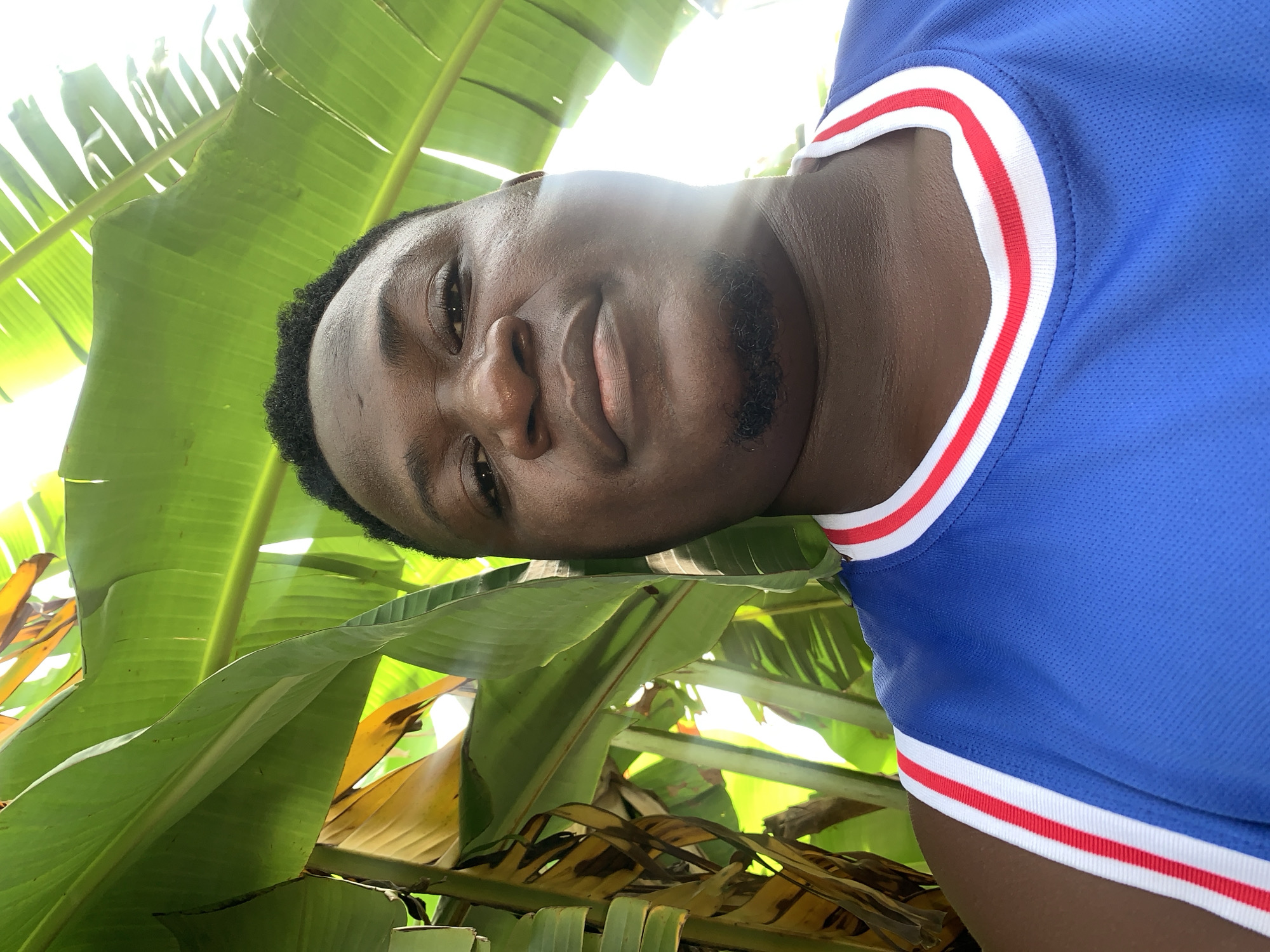This is a selfie of a young Black man in Akwanga, Nigeria. He is wearing a blue jersey with red and white trim around the collar and sleeves. The man is outdoors, with large green banana leaves framing his face and upper body. Sunlight is filtering through the leaves, creating a bright, dappled effect. The man has short, dark, curly hair and a short beard. He is smiling slightly, and his eyes are looking directly at the camera. The image appears to have been taken during the daytime, likely in the morning or afternoon given the bright sunlight. The lush greenery suggests a tropical or subtropical environment. There is no visible text in the image.