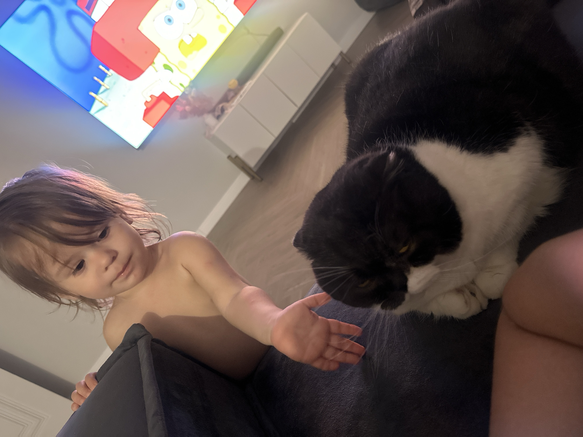 A child with shoulder-length brown hair is seated and reaching out with their right hand towards a black and white cat. The cat is lying on a dark blue surface. In the background, a television displays an image of SpongeBob SquarePants. A white cabinet sits against the wall. The location is not specified and cannot be identified. There is no indication of Kharnavy, Russia.