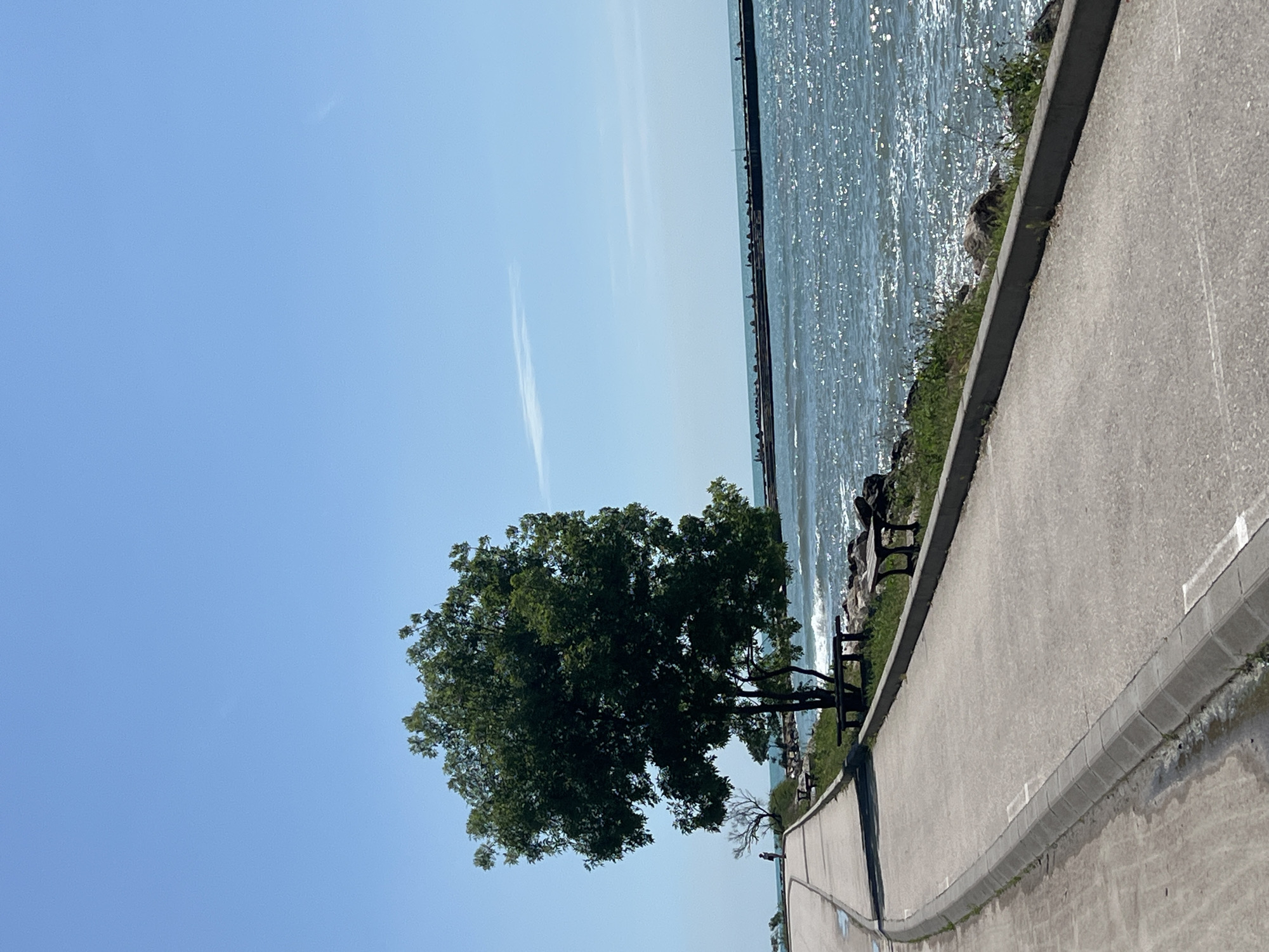 The image displays a serene outdoor scene along a large body of water under a clear, bright blue sky. The sky dominates the upper portion of the frame, showing only very faint, wispy clouds. To the right, an expansive body of water, likely a sea or a large lake, sparkles intensely with reflections from the sun, suggesting a clear and sunny day, possibly around midday. A long, dark line, which appears to be a distant pier, breakwater, or even a far coastline, stretches horizontally across the water.
In the mid-ground, a large, robust tree with dense, vibrant green foliage stands prominently. Several dark park benches are visible along the grassy area situated between the tree and the water's edge. To the left, a paved pathway or road with a well-defined concrete curb runs parallel to the waterfront, curving gently into the distance. This setting suggests a public promenade or park.
No people or specific activities are depicted, contributing to a tranquil and peaceful atmosphere. There is no visible text in the image. Based on the provided context, the location of this scene is Varna, Bulgaria.