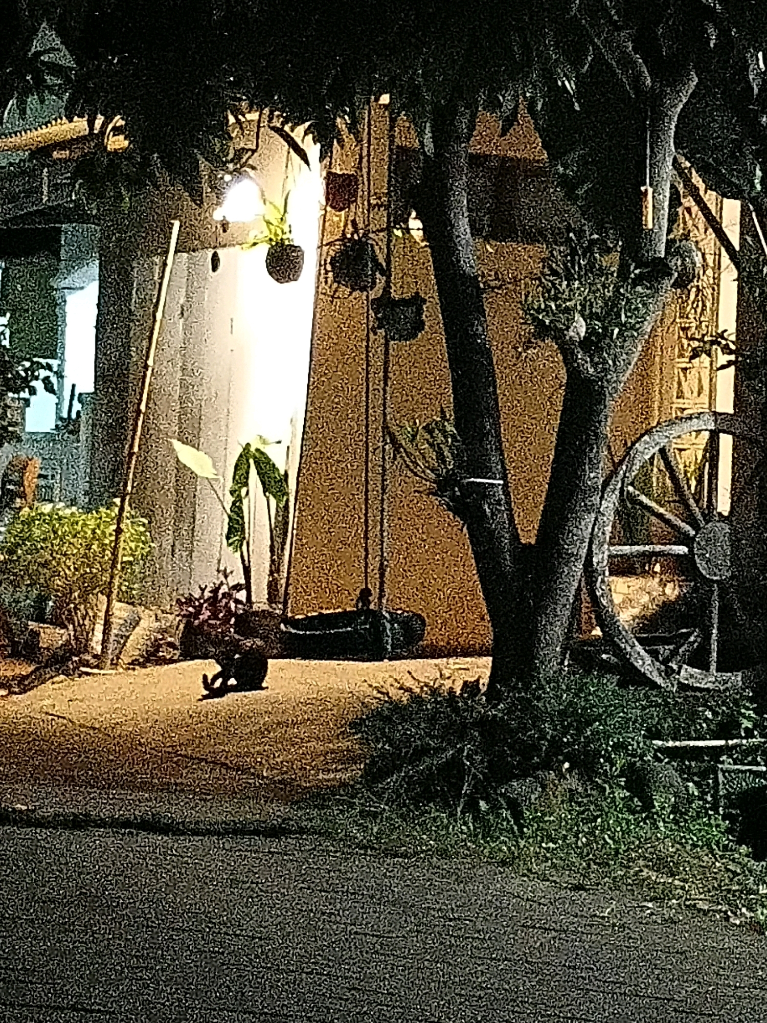 The image depicts an outdoor scene at night, likely in Cikal, Indonesia, with artificial lighting illuminating the area. In the foreground, a cat is visible in a crouching or sitting position, casting a shadow on the ground. The ground surface appears to be a mix of paved and gravel areas. To the left, a dense green bush is present, and a tall, thin bamboo pole stands vertically. Further back, a building with a light-colored wall is visible, and several hanging potted plants are suspended from above. A tree with dark foliage and a thick trunk is prominent in the right half of the image, its branches casting shadows. To the right of the tree, a large, rustic wooden wagon wheel is leaning against the building. A swing set with a dark cushion is also visible, partially obscured by the tree. The overall impression is of a quiet, dimly lit outdoor space with a mix of natural and decorative elements.