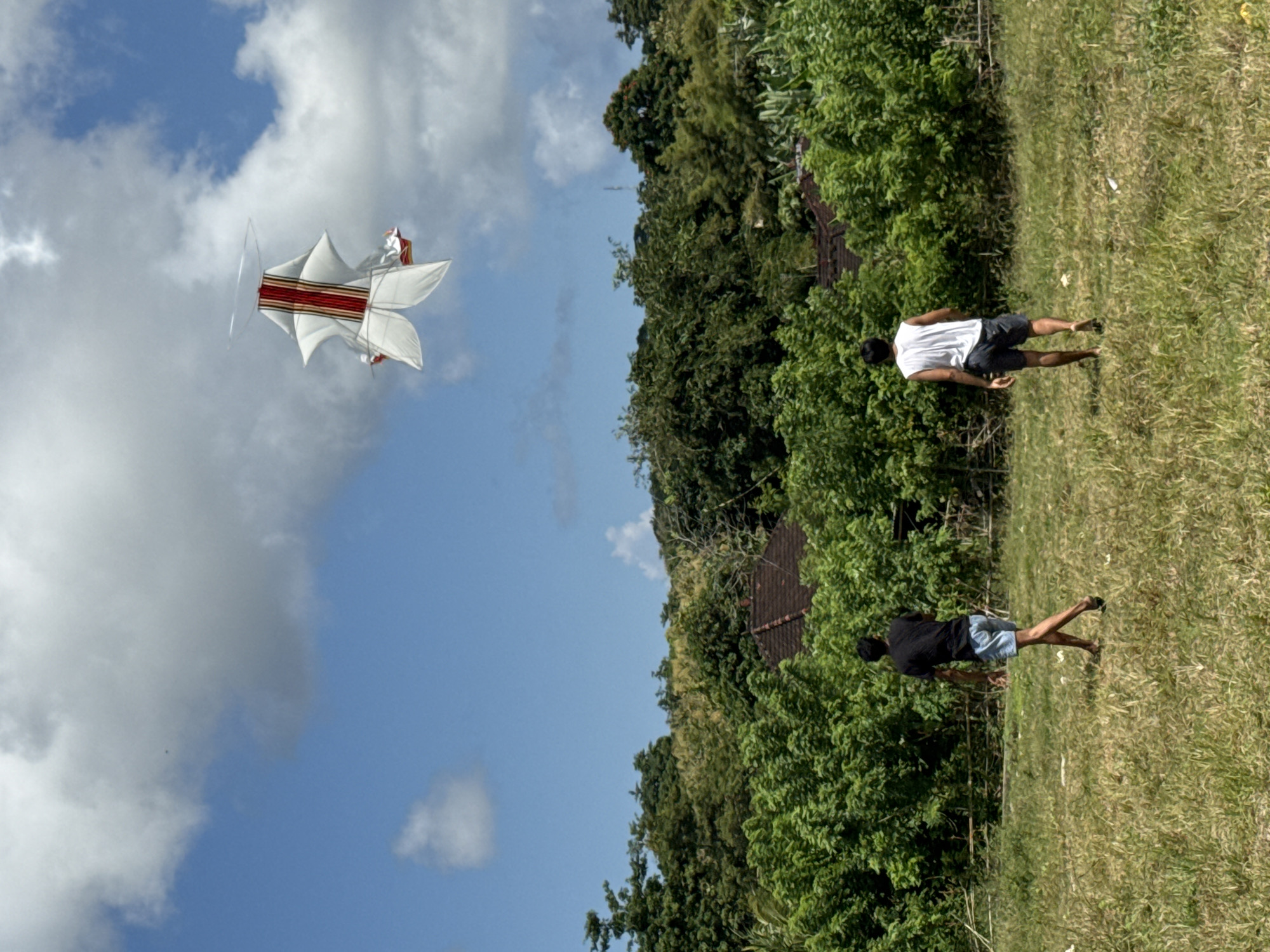 In Ungasan, Indonesia, two individuals are on a grassy field near a densely wooded area with rooftops visible through the trees. One person wears a white shirt and dark shorts, while the other wears a dark shirt and light shorts. A kite, white with red stripes, flies in the sky against a backdrop of blue sky and clouds.