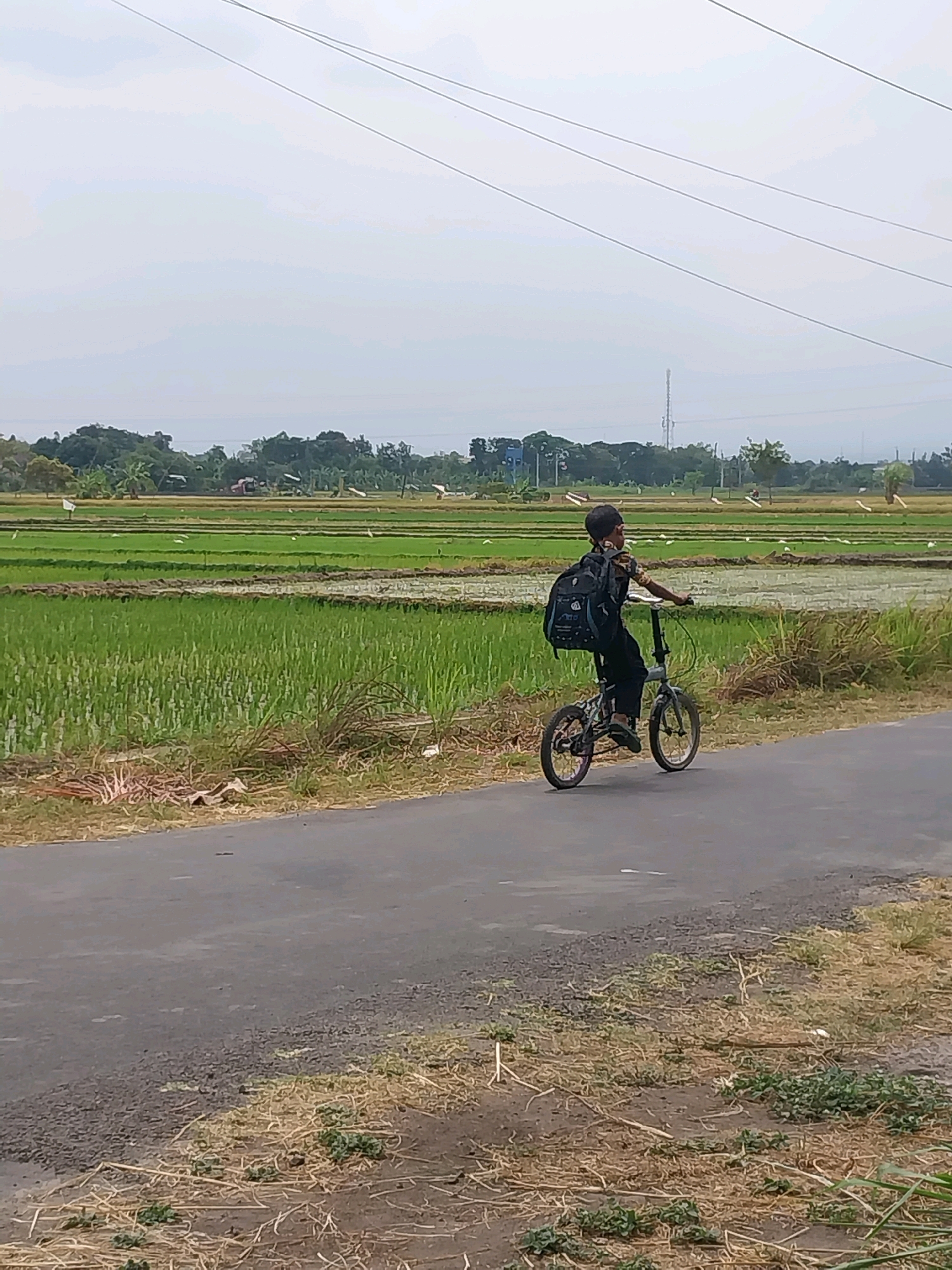 The image depicts a young boy riding a bicycle along a paved road next to a rice paddy field in Cucukan, Indonesia. The boy, facing away from the camera, is wearing a dark backpack and dark clothing. The bicycle appears to be a folding model. The rice field is lush green, with some water visible, and several white birds are scattered across it. In the background, there are trees and utility poles. The sky is overcast, and the overall lighting suggests it is daytime. The road has dry grass and vegetation along its edge.