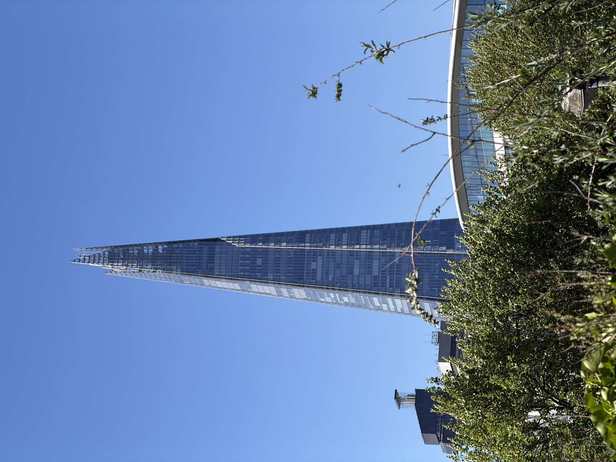 When correctly oriented, the photograph captures a towering view of The Shard skyscraper in London, United Kingdom, against a clear, bright blue sky. The distinctively shaped, glass-clad building rises sharply from the left side of the frame, tapering to a point towards the top center. Its modern, reflective facade is visible in intricate detail, showcasing numerous windows and structural lines.
In the foreground and along the right side of the image, lush green trees and bushes provide a natural contrast to the urban architecture. The foliage is dense and vibrant, suggesting a warm season. Behind and partially obscured by these trees on the lower right, another, darker building with multiple stories can be seen.
The scene is bathed in bright daylight, indicated by the clear sky and the way light reflects off the skyscraper's surface. No people or visible text are present, and no specific activity is taking place. The overall impression is one of modern urban architecture set against a natural, verdant foreground on a sunny day.