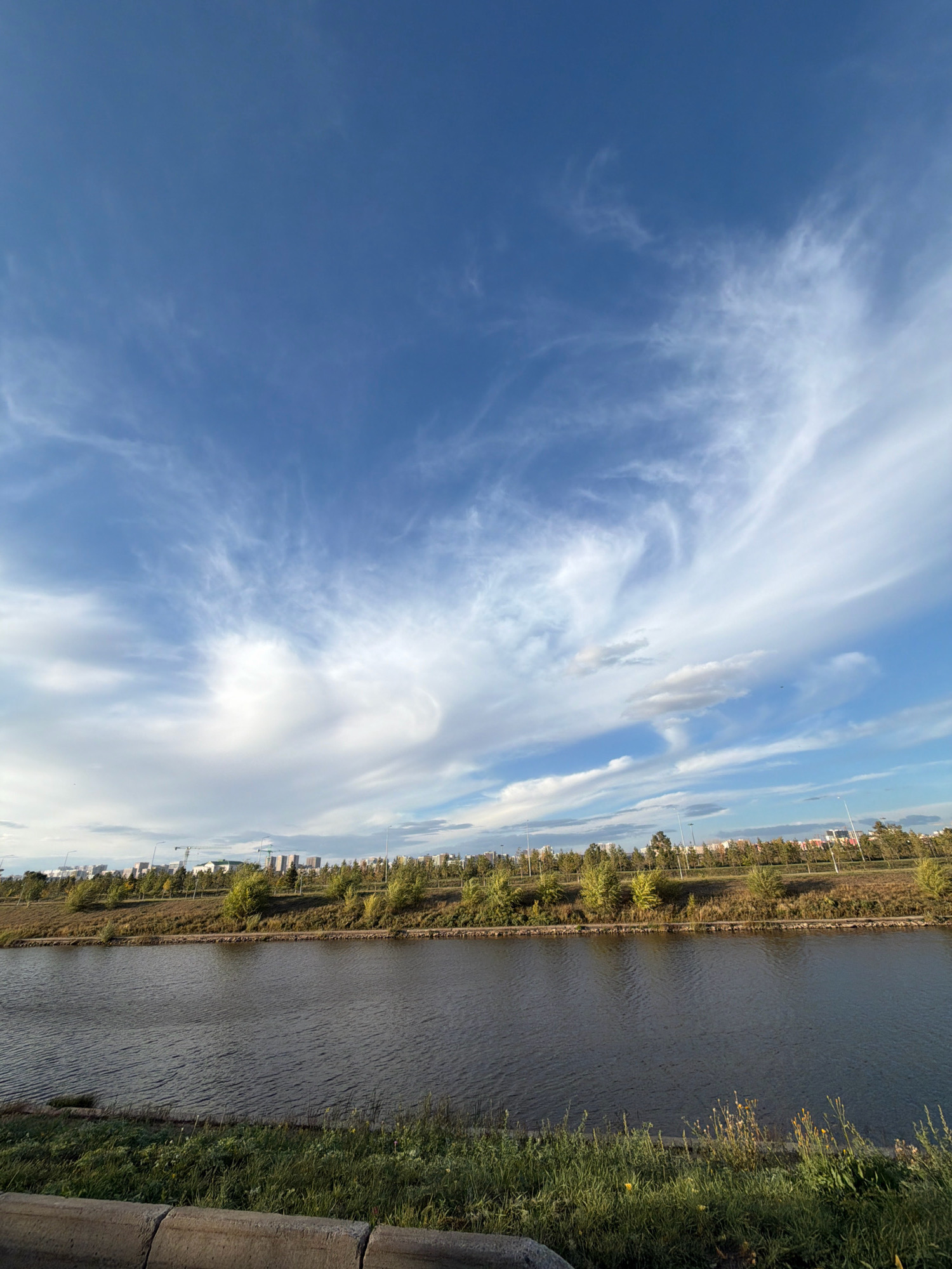 This is an eye-level, vertical, medium shot of a riverbank in Astana, Kazakhstan, on a clear day. The sky is a vibrant blue, filled with wispy white clouds, suggesting good weather. The river occupies the lower half of the image, its surface rippled by a gentle breeze. The riverbank is lined with a row of trees and bushes, which transition into a grassy area. In the background, a city skyline with buildings and lampposts is visible, indicating an urban setting. The scene is tranquil and devoid of people.
